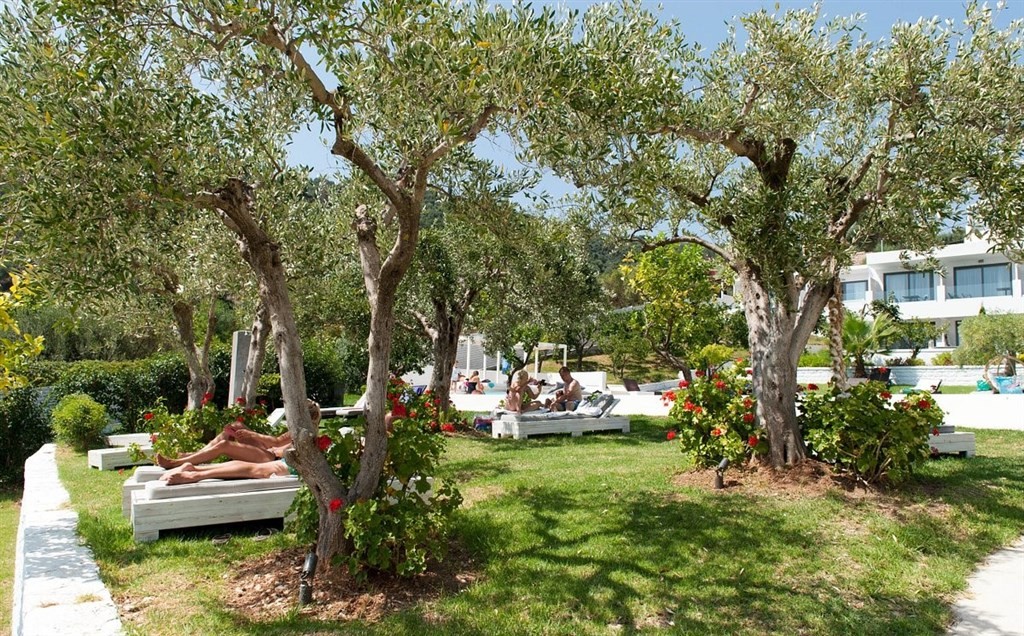 Lichnos Beach Hotel & Suites 9