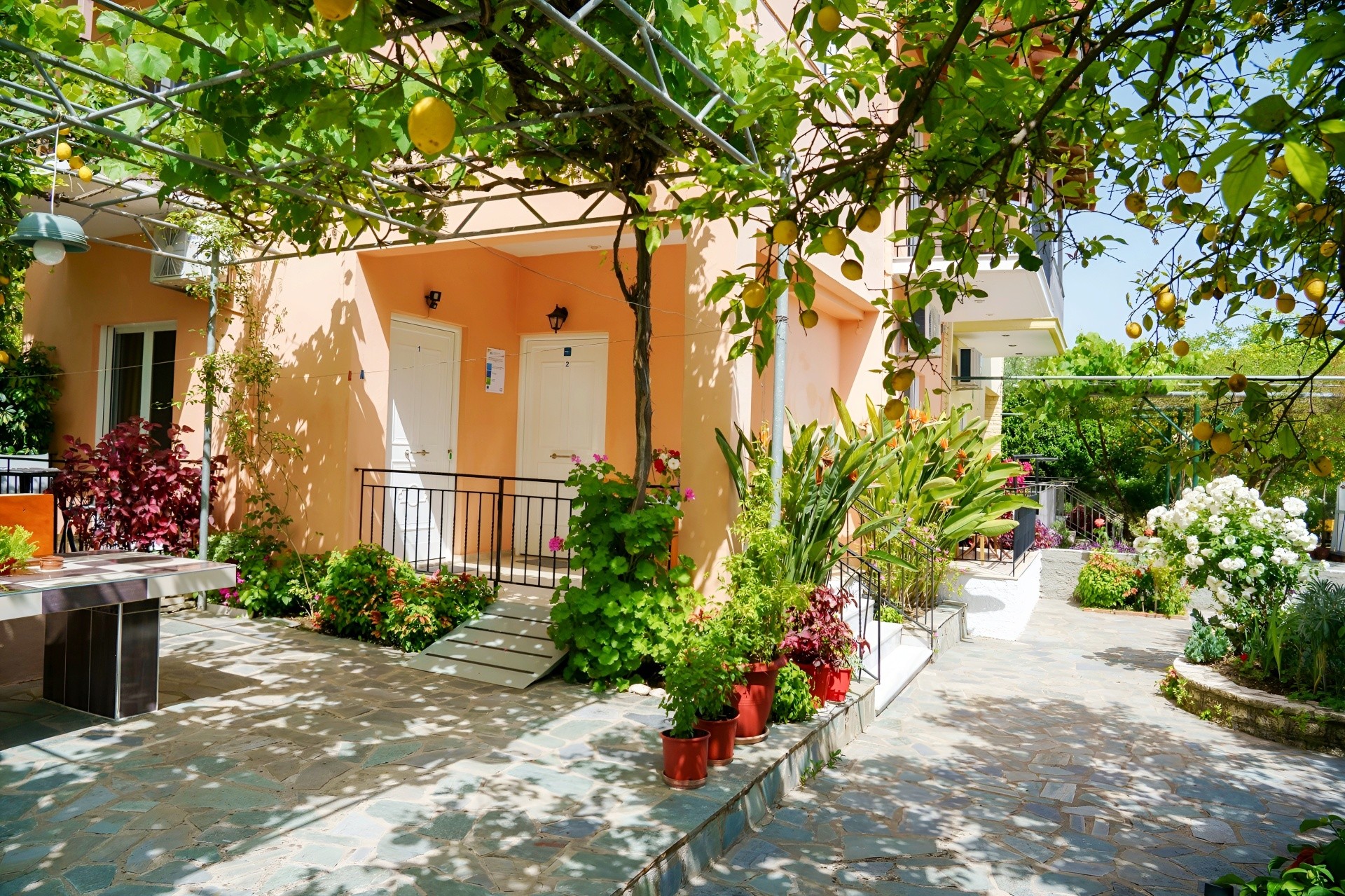 Zotos Studios & Apartments 3