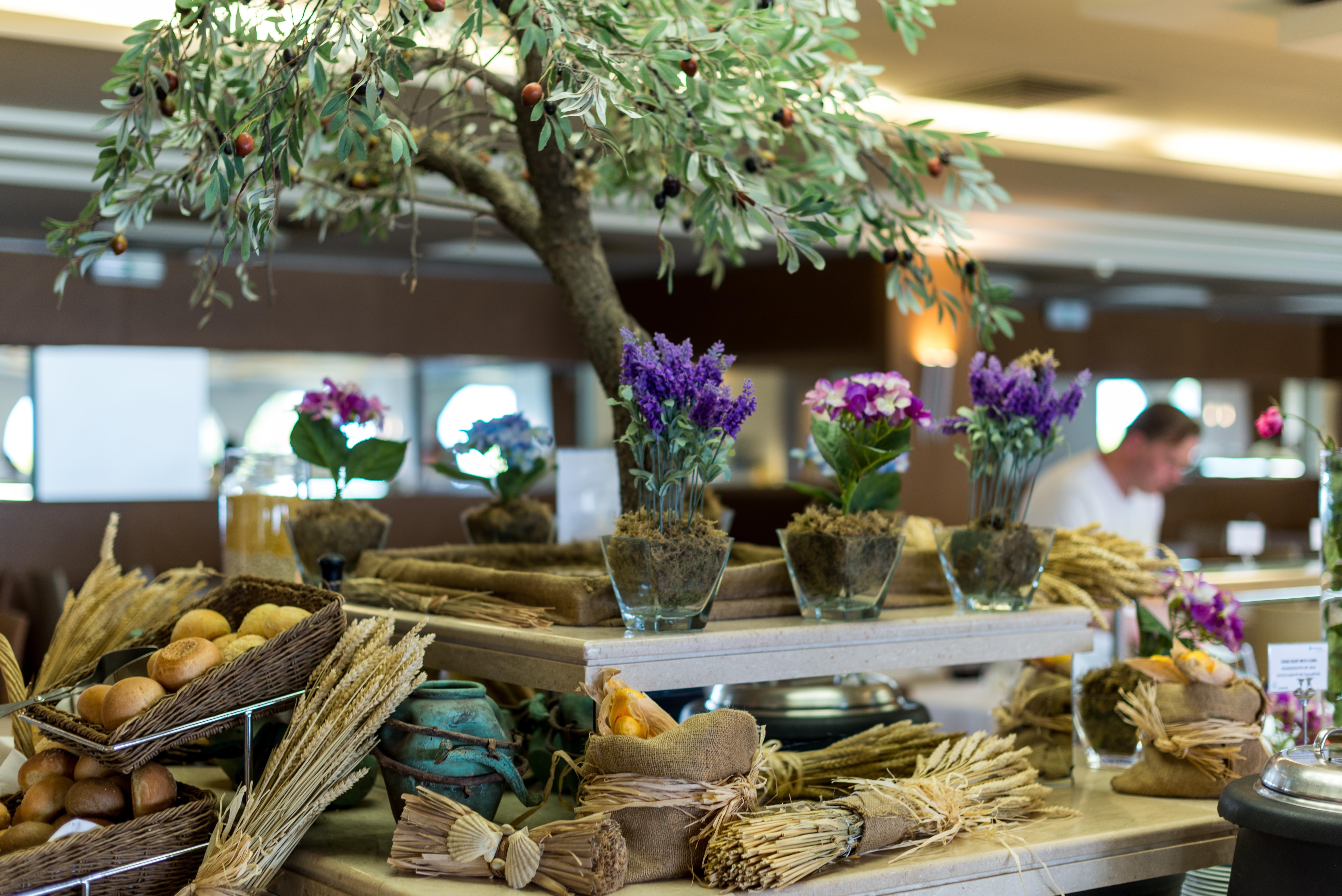 The Ixian Grand & Suites 19