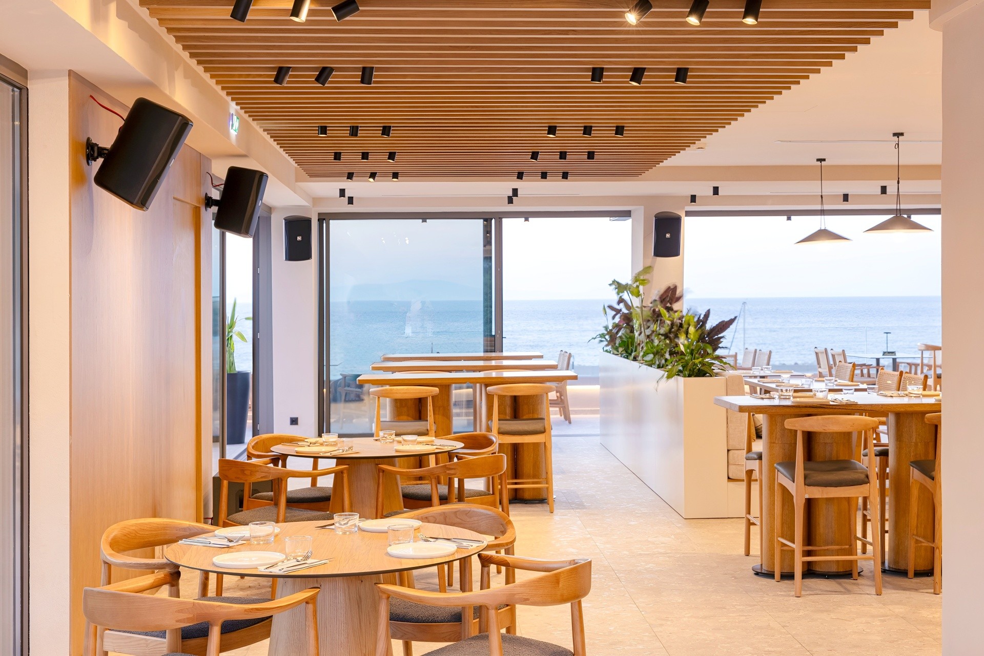 Erato by Samian Mare 9