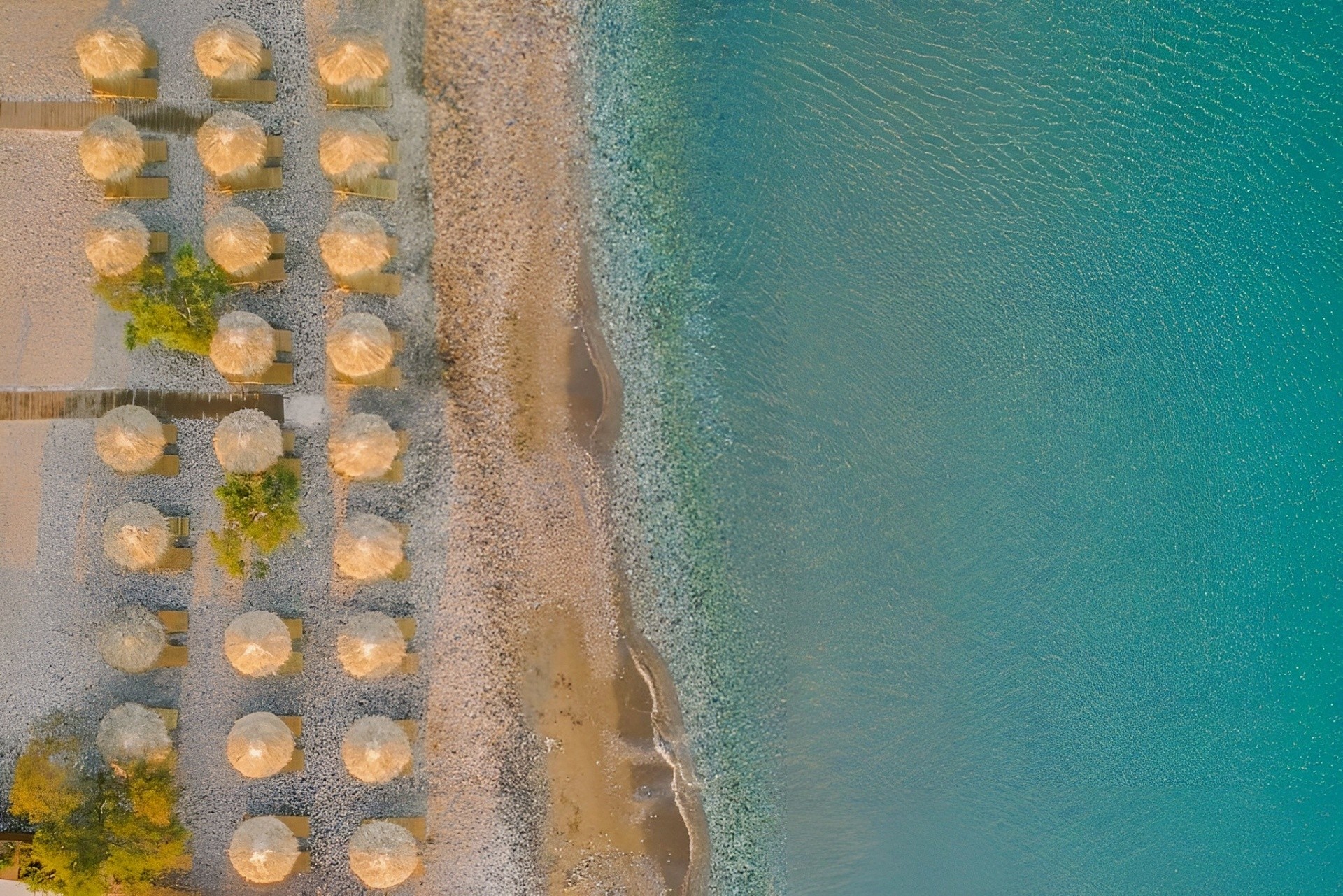 Erato by Samian Mare