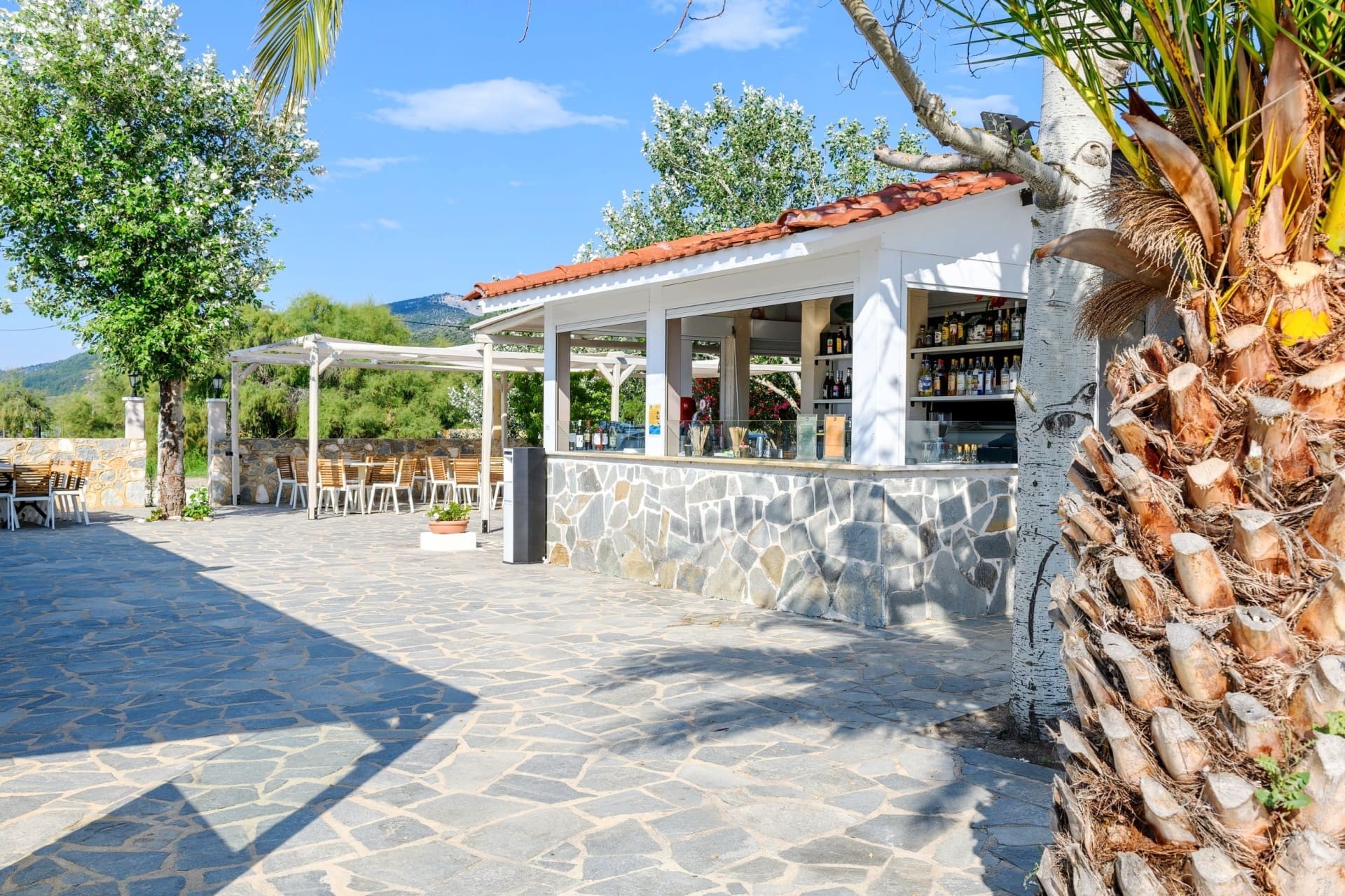 Alea Hotel & Suites 22