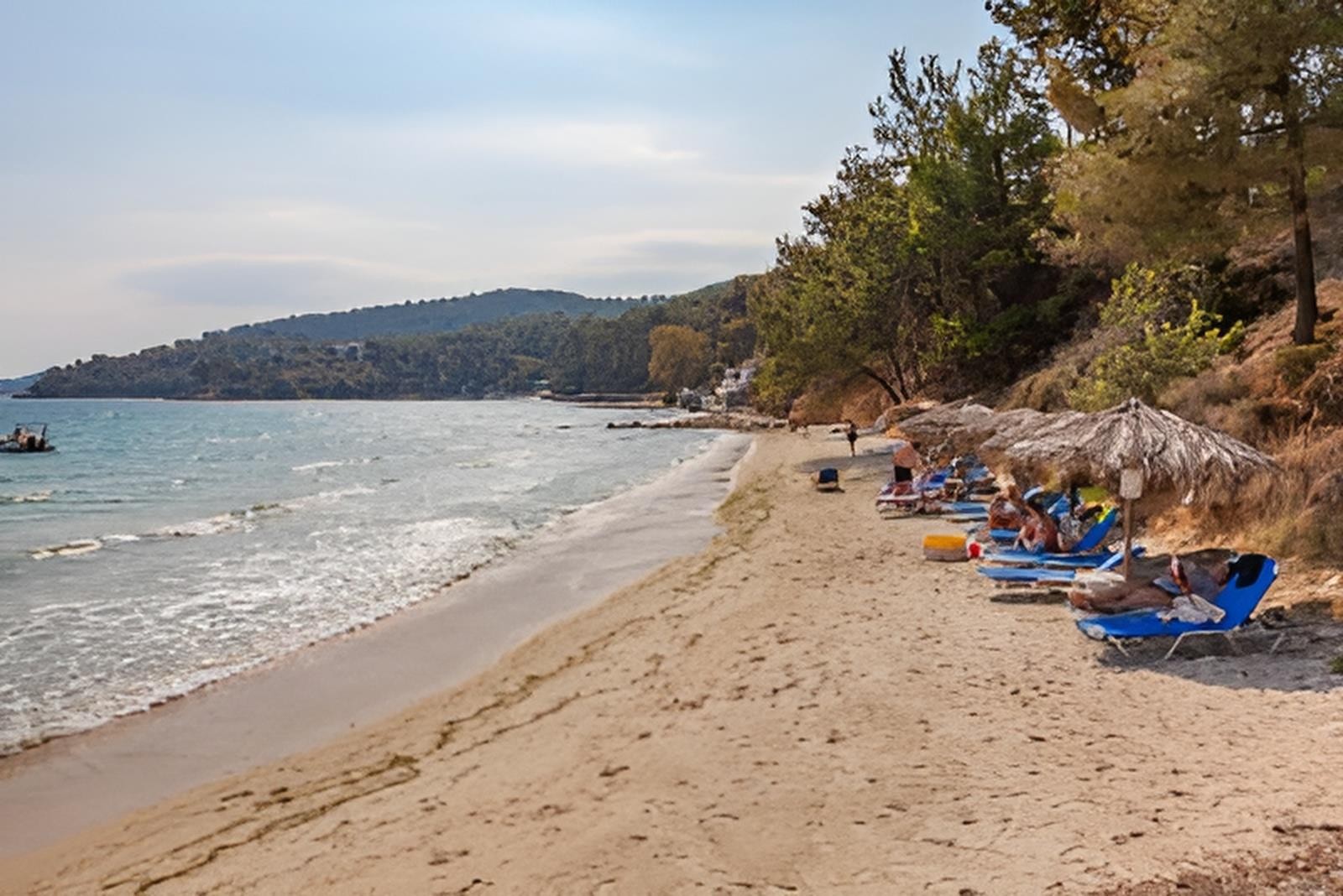 Four Seasons Hotel 23