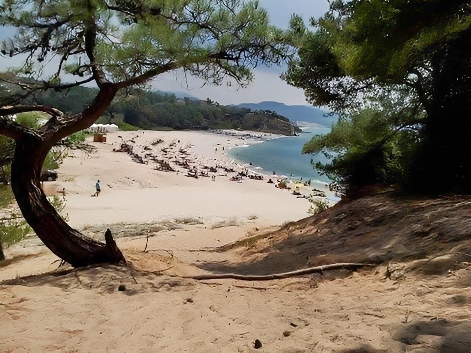 Rodon House Aparthotel 14