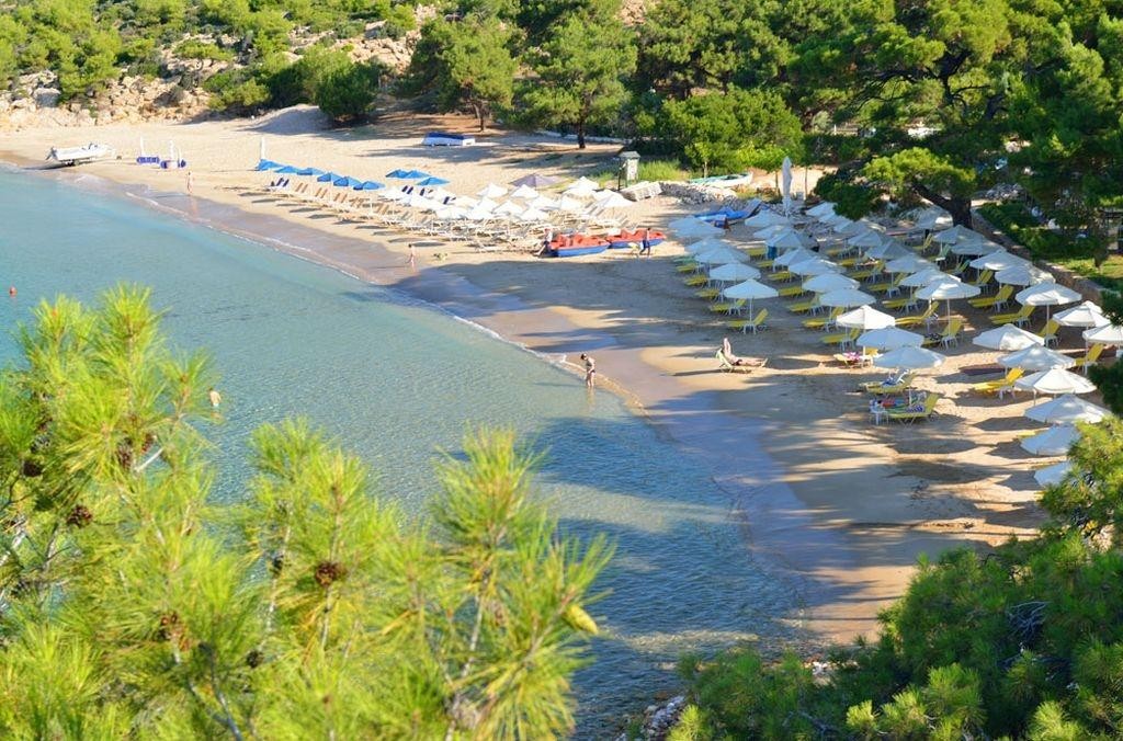 Royal Paradise Beach Resort & SPA – fotka 16