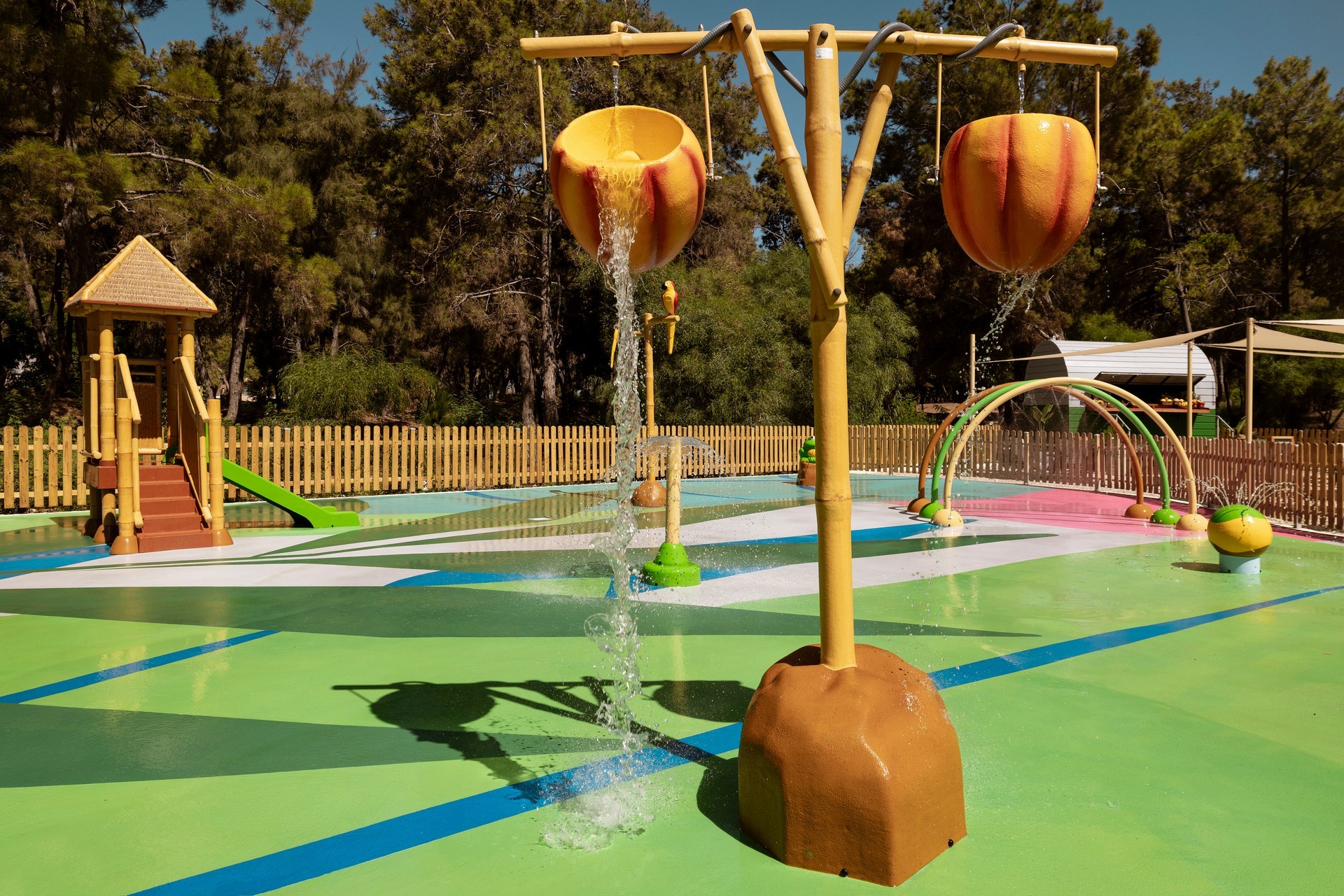 Domes Aulus Zante, Autograph Collection 36