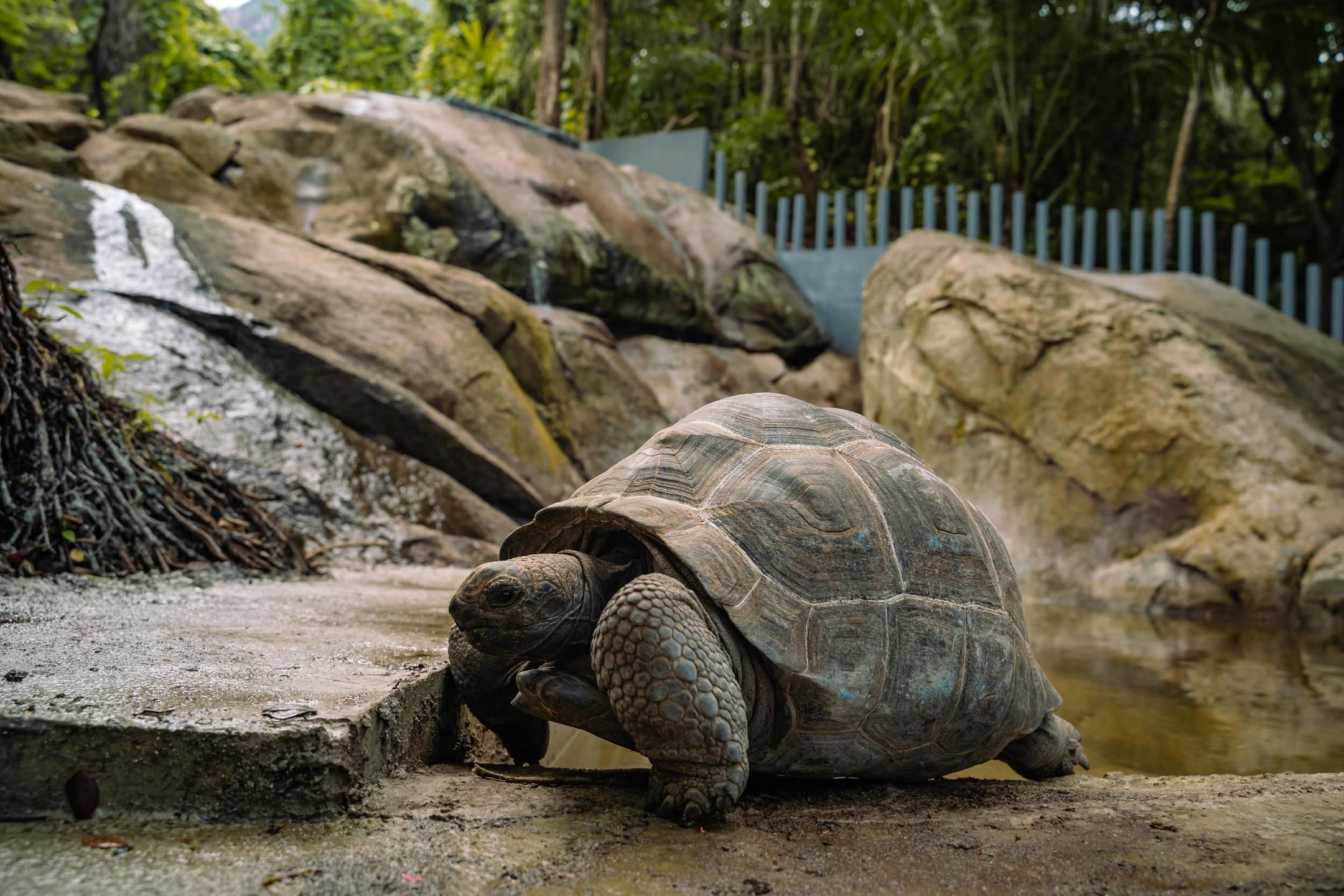 Hilton Seychelles Labriz Resort & Spa 27