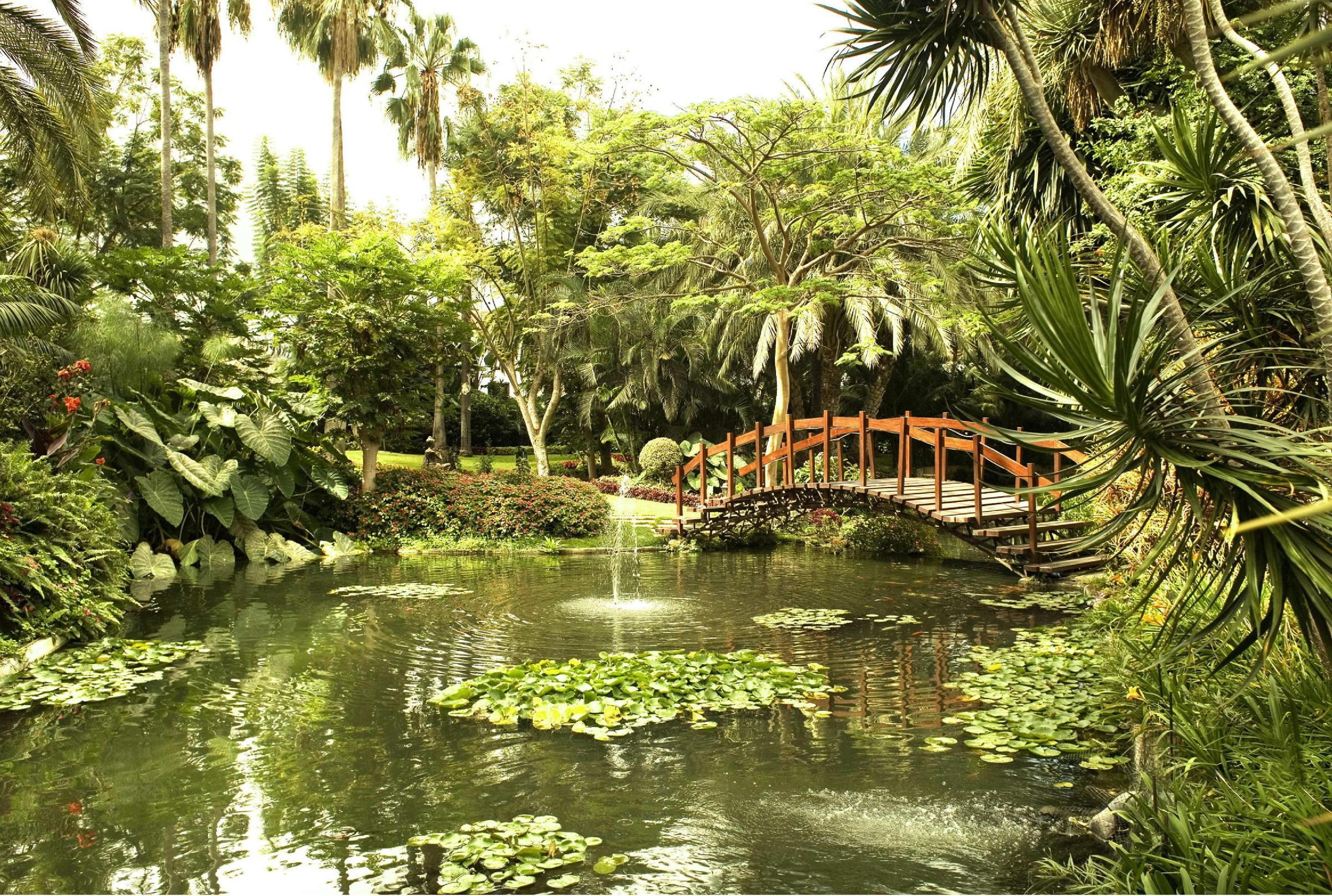 Botanico and The Oriental Spa Garden 19