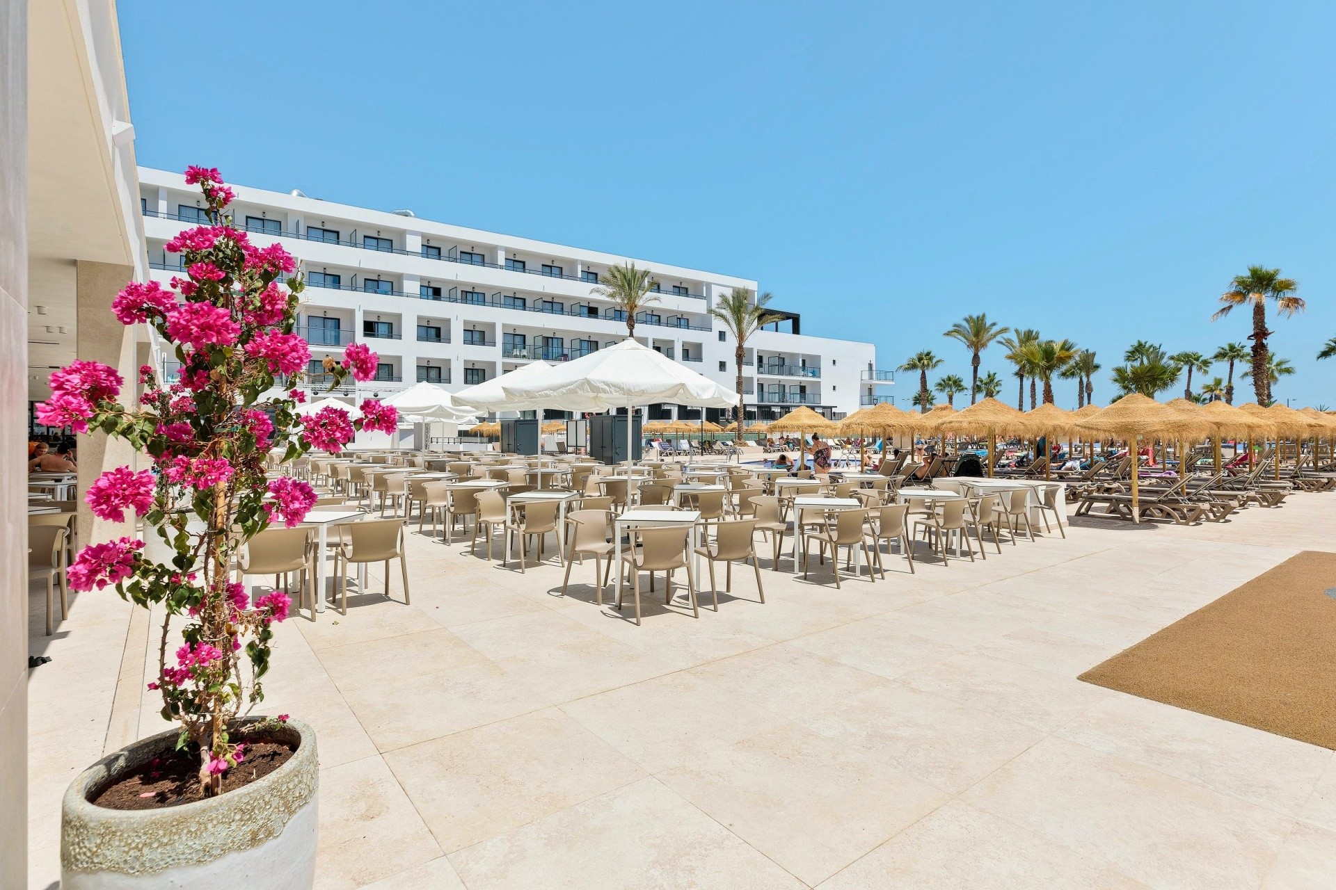 Hotel Best Oasis Tropical 29