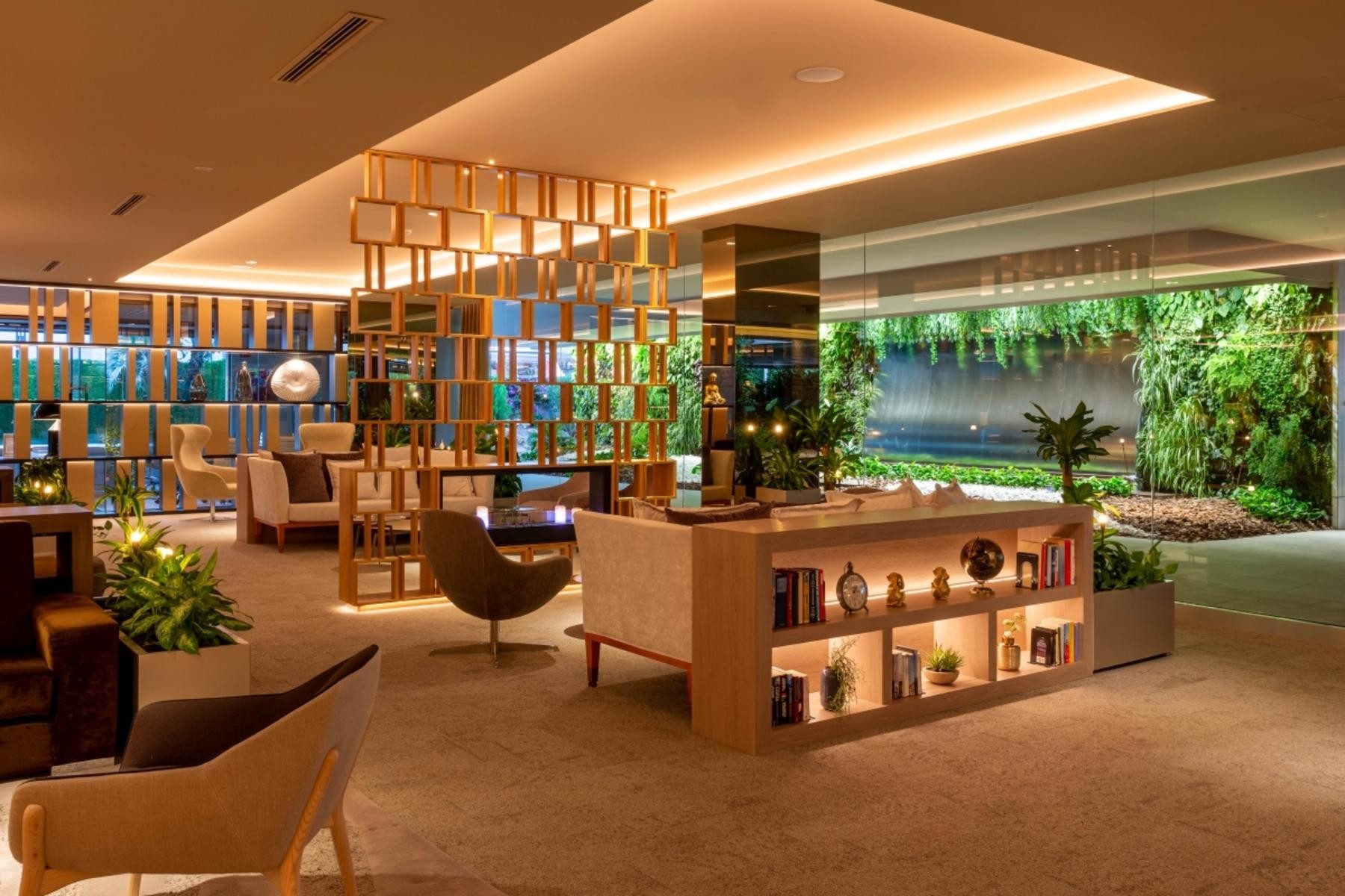 Don Pancho (Designed for adults) 17