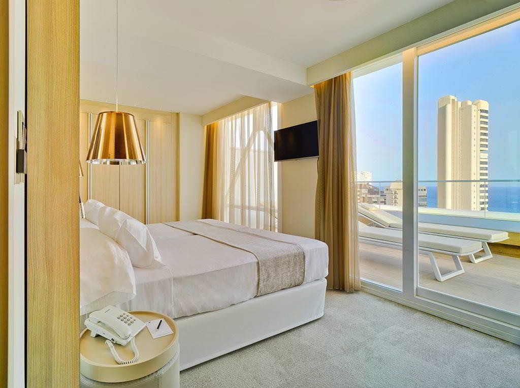 Don Pancho (Designed for adults) 6