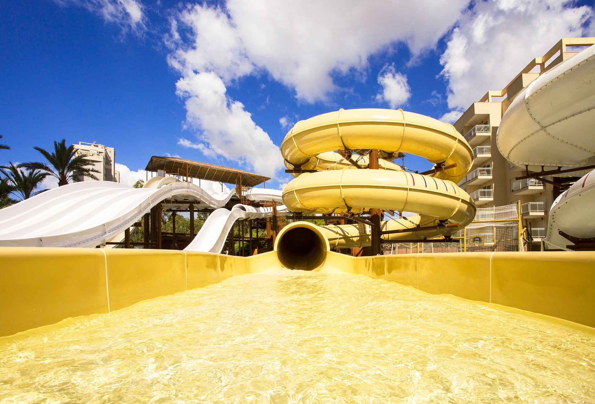 Magic Tropical Splash 17