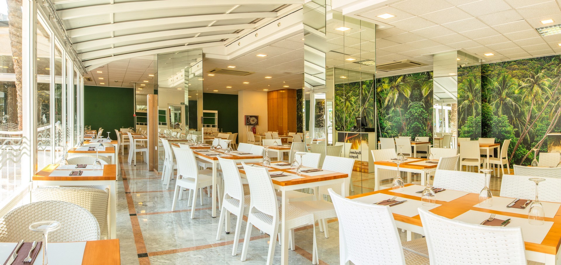 Magic Tropical Splash 19