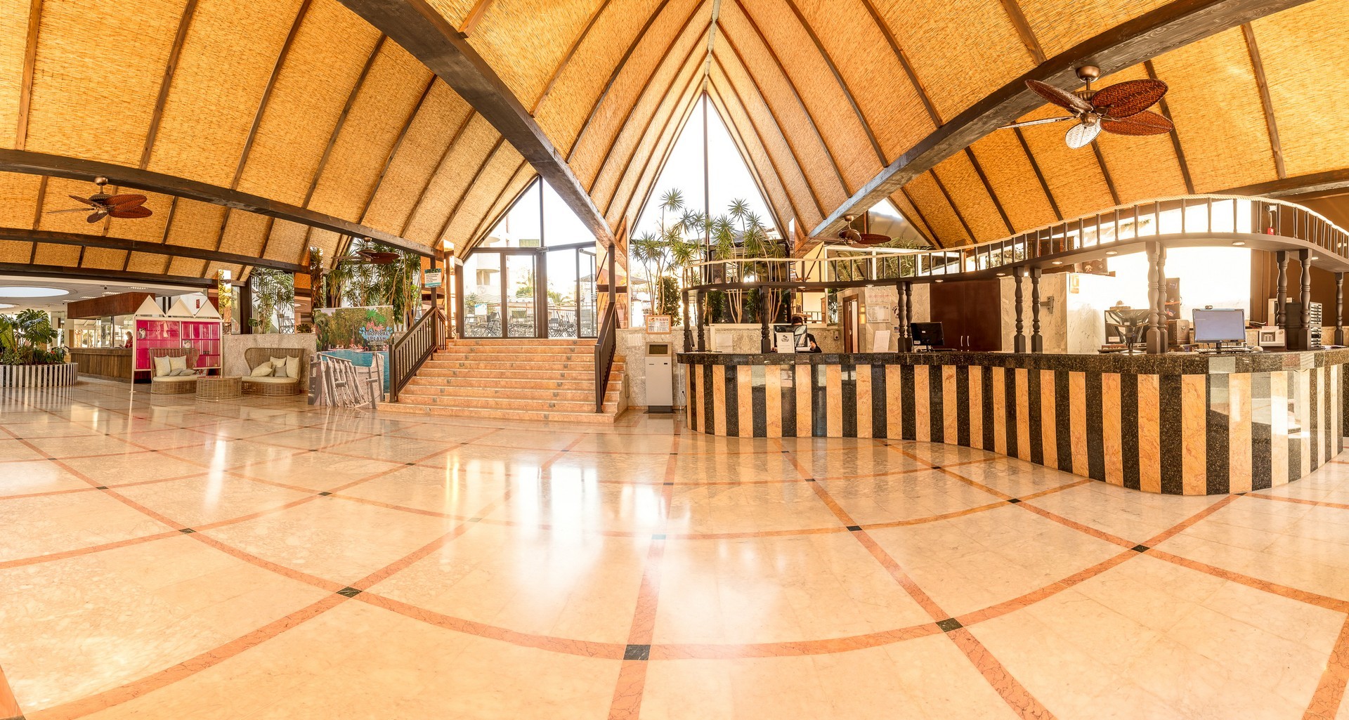 Magic Tropical Splash 22