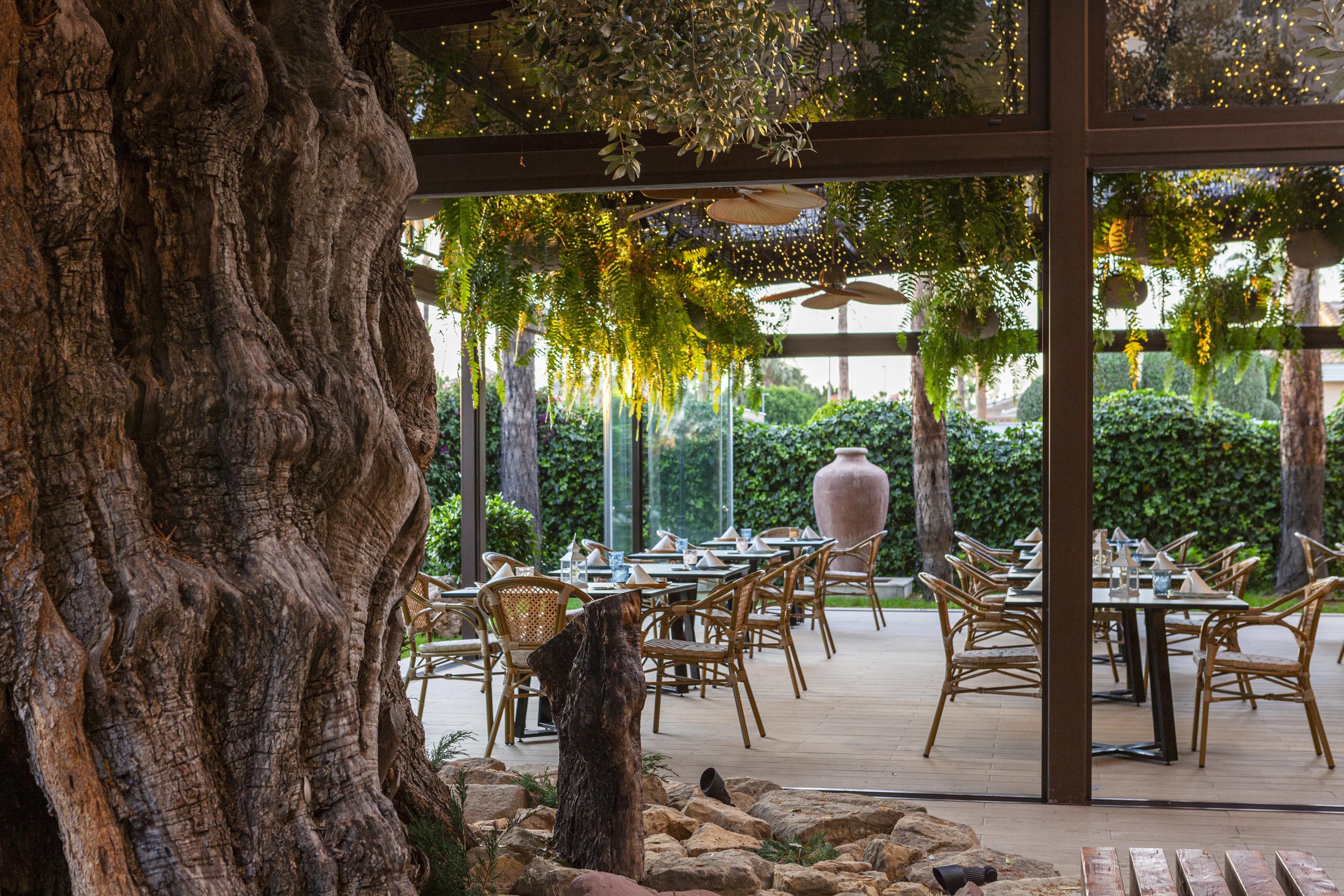 La Laguna Spa & Golf 12