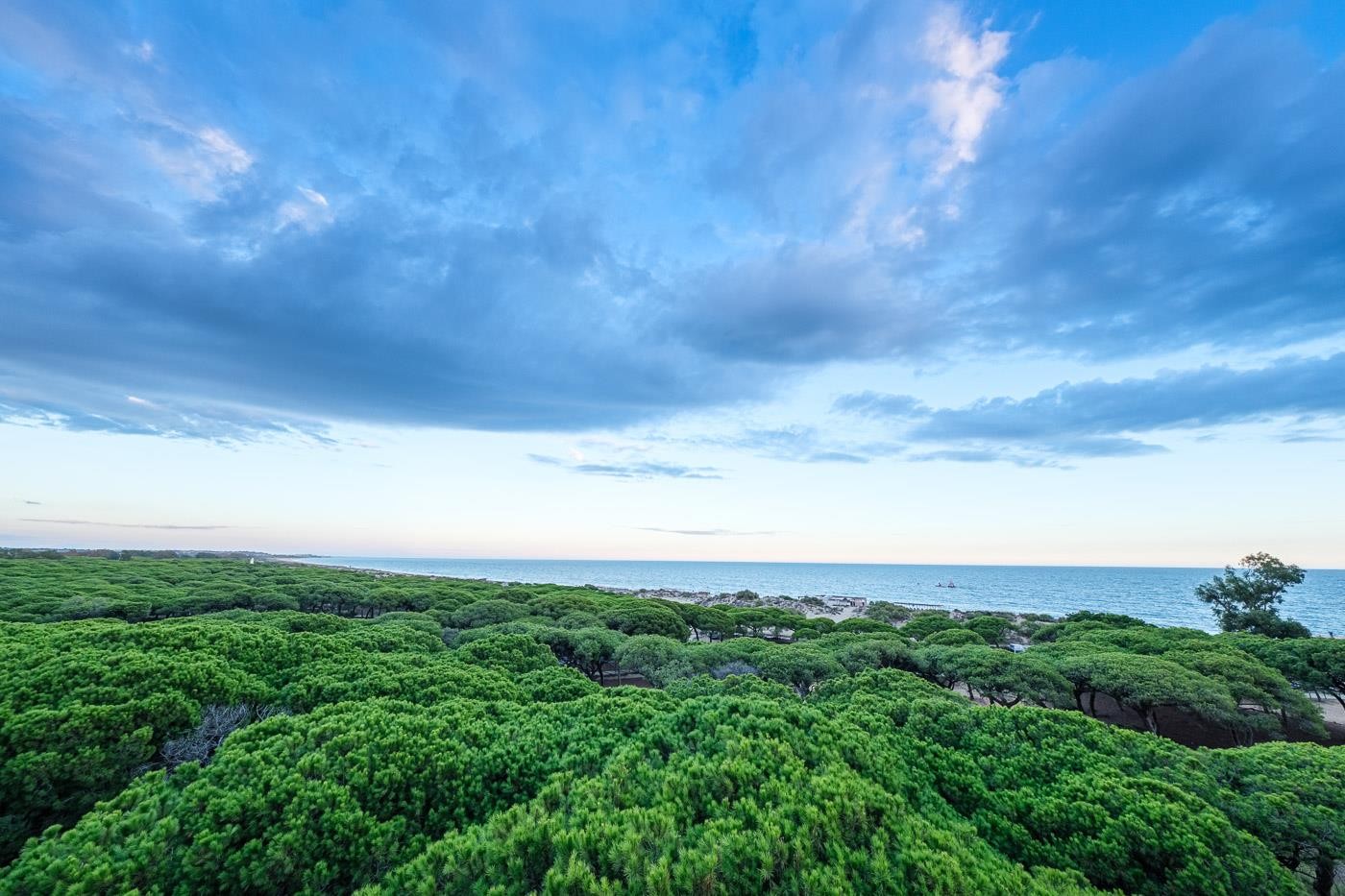 Estival Isla Cristina 43