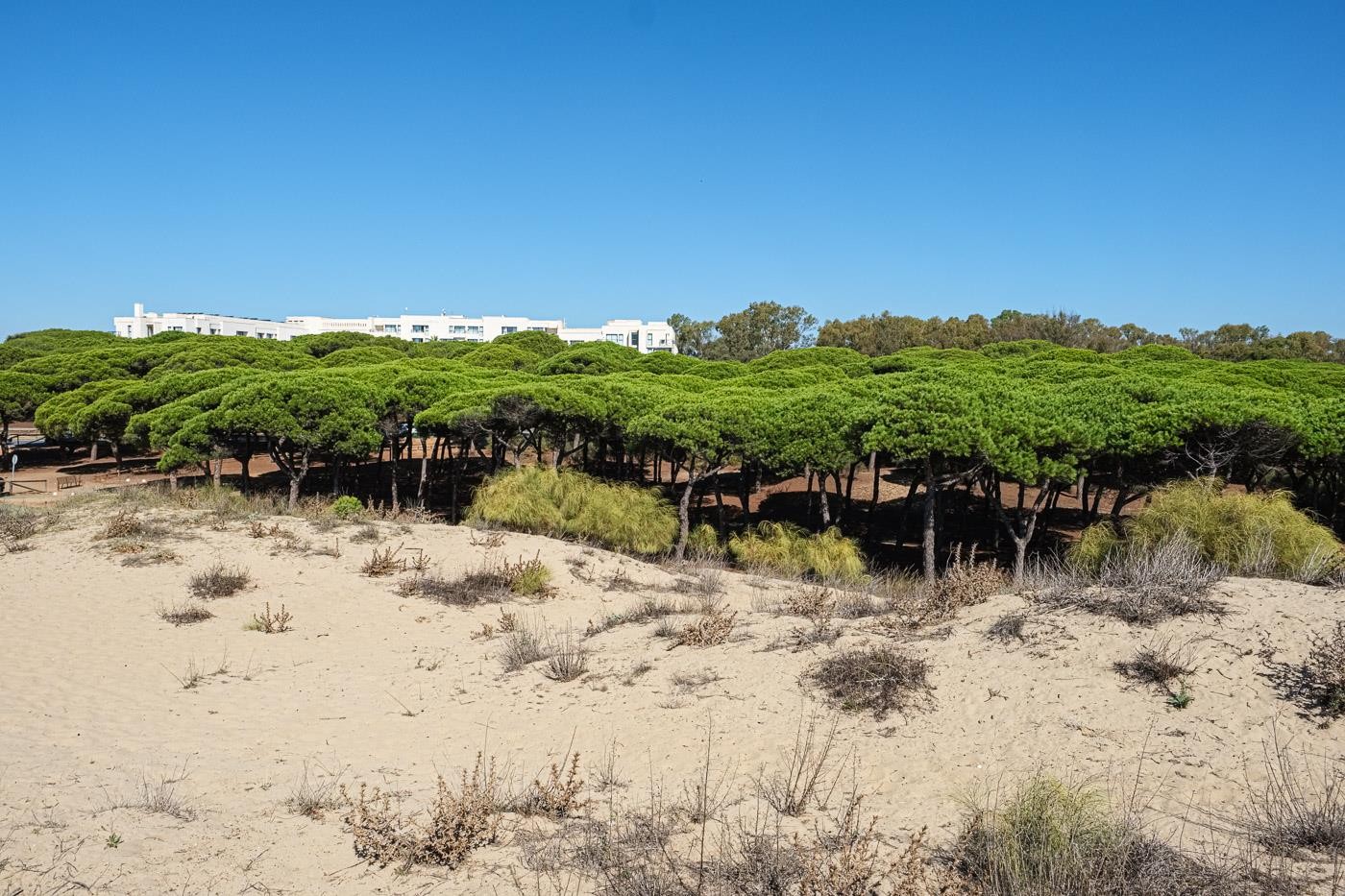 Estival Isla Cristina 46