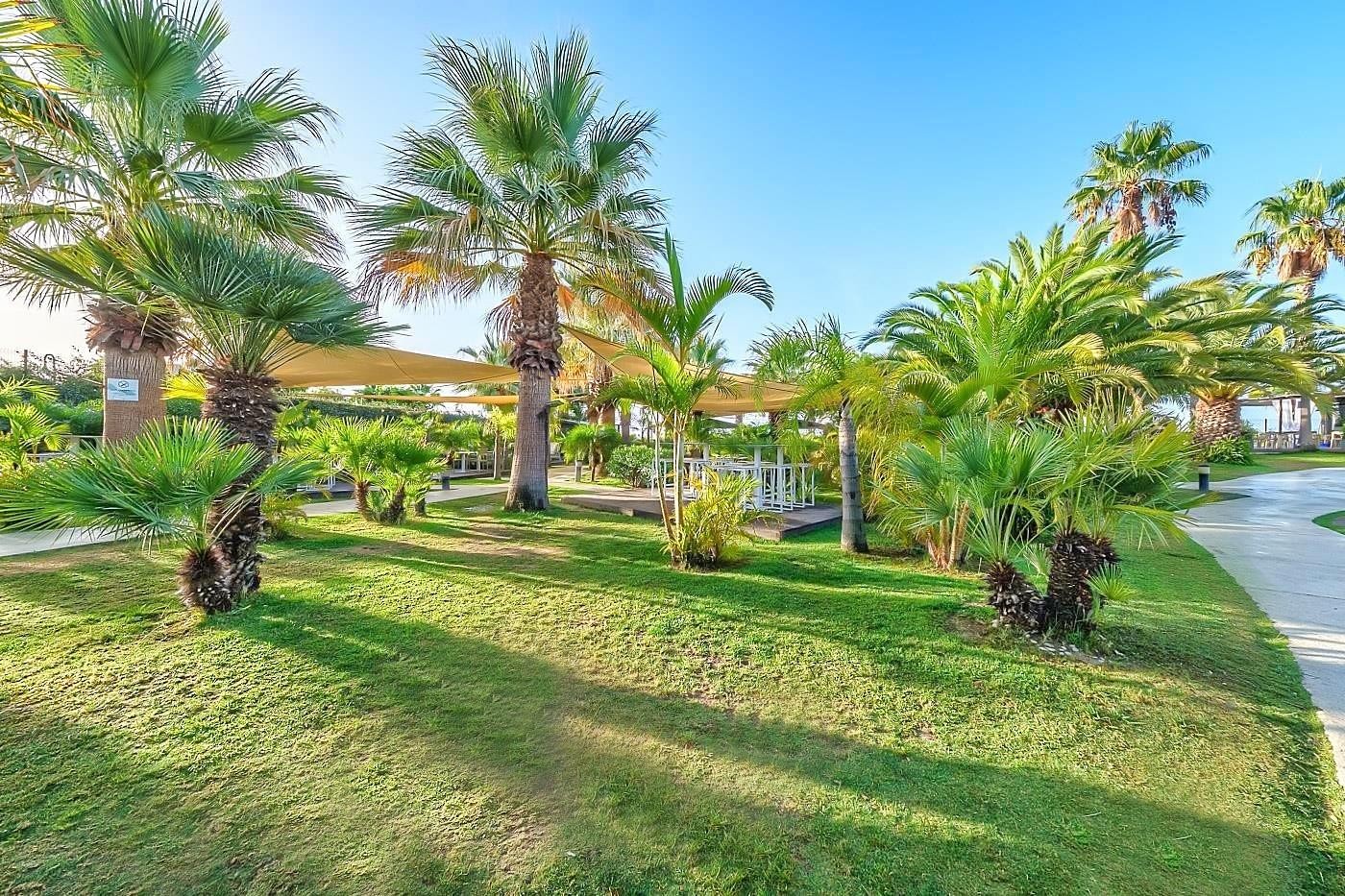 Estival Islantilla 18