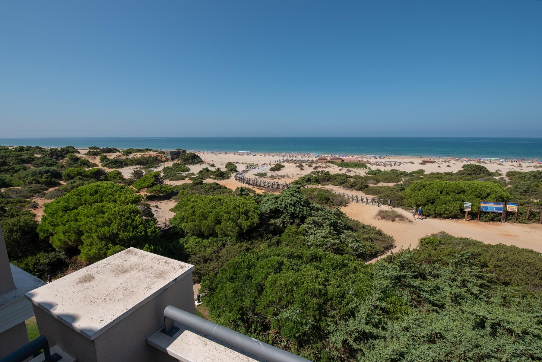 Valentin Sancti Petri 20