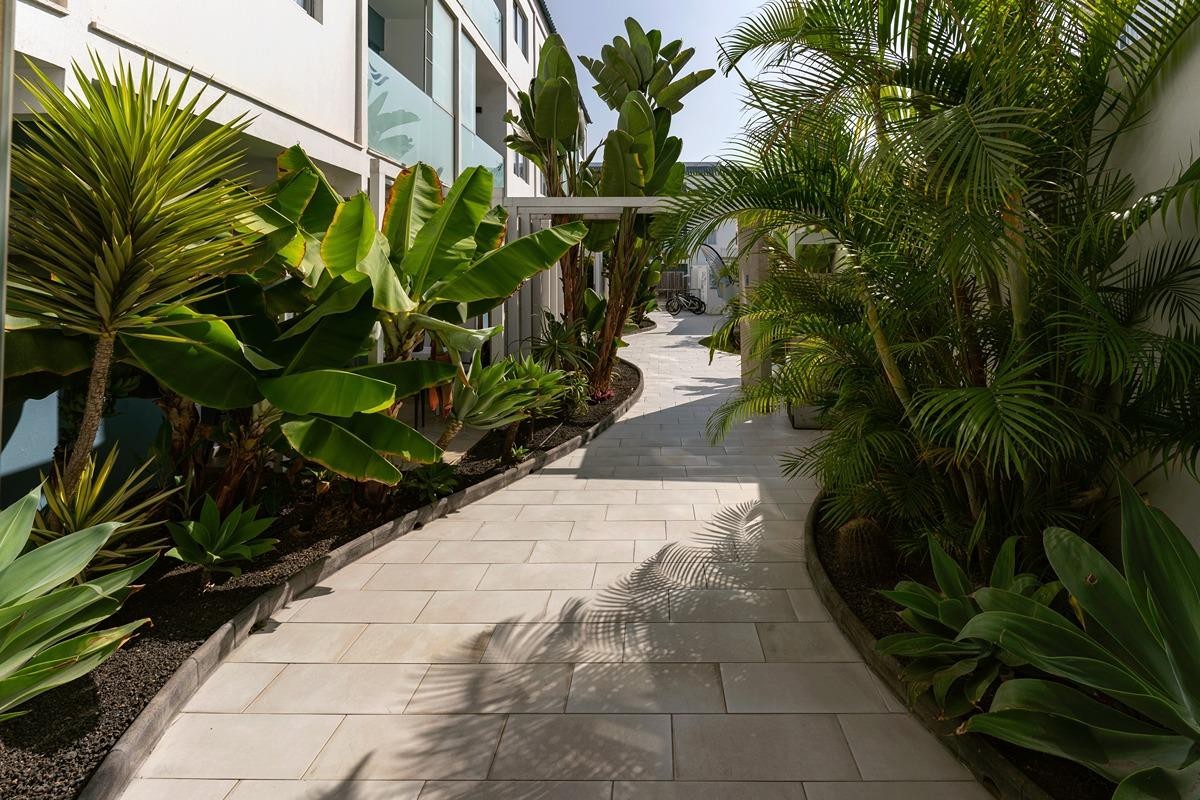 Bristol Sunset Beach 12