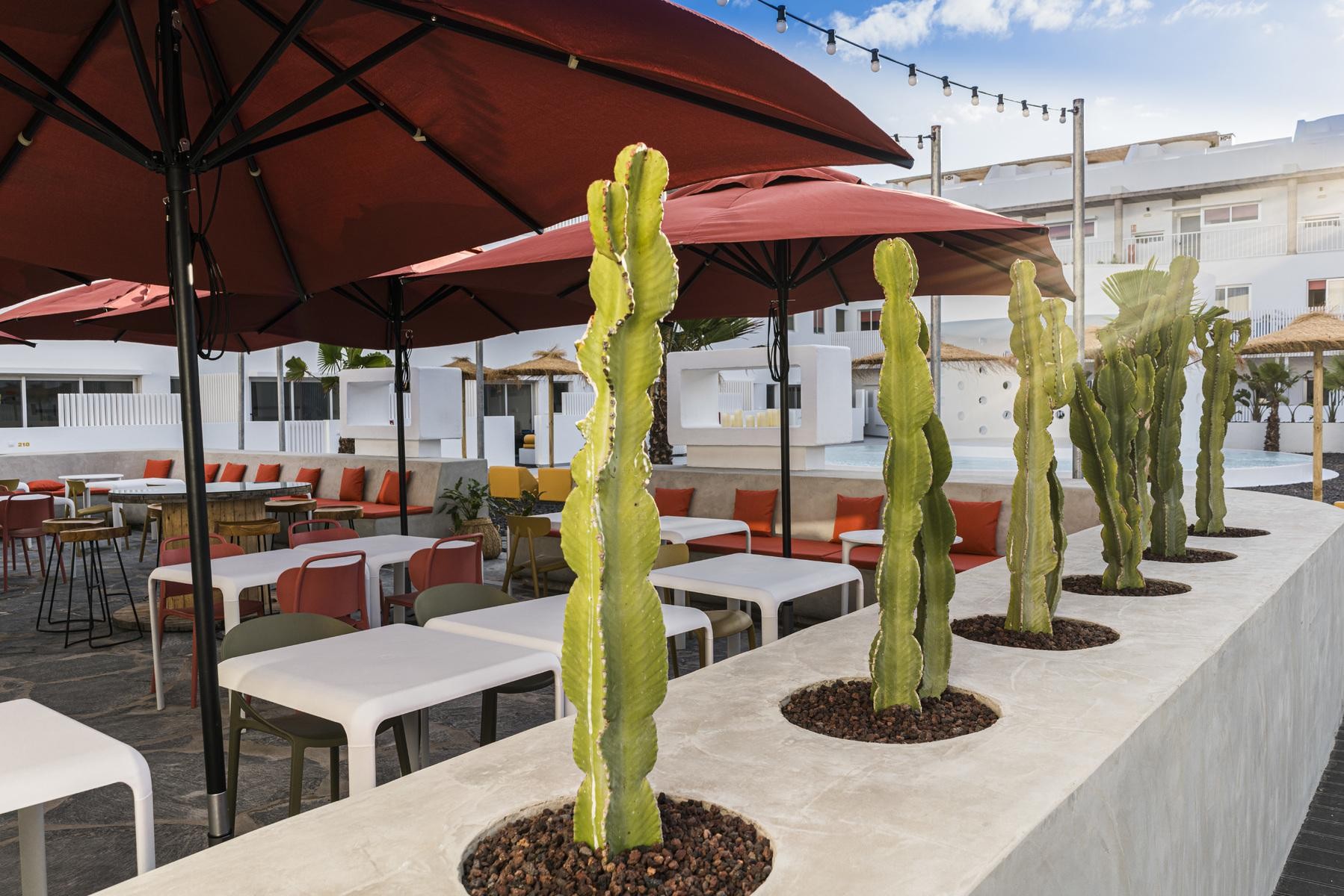 Buendia Corralejo Nohotel 7