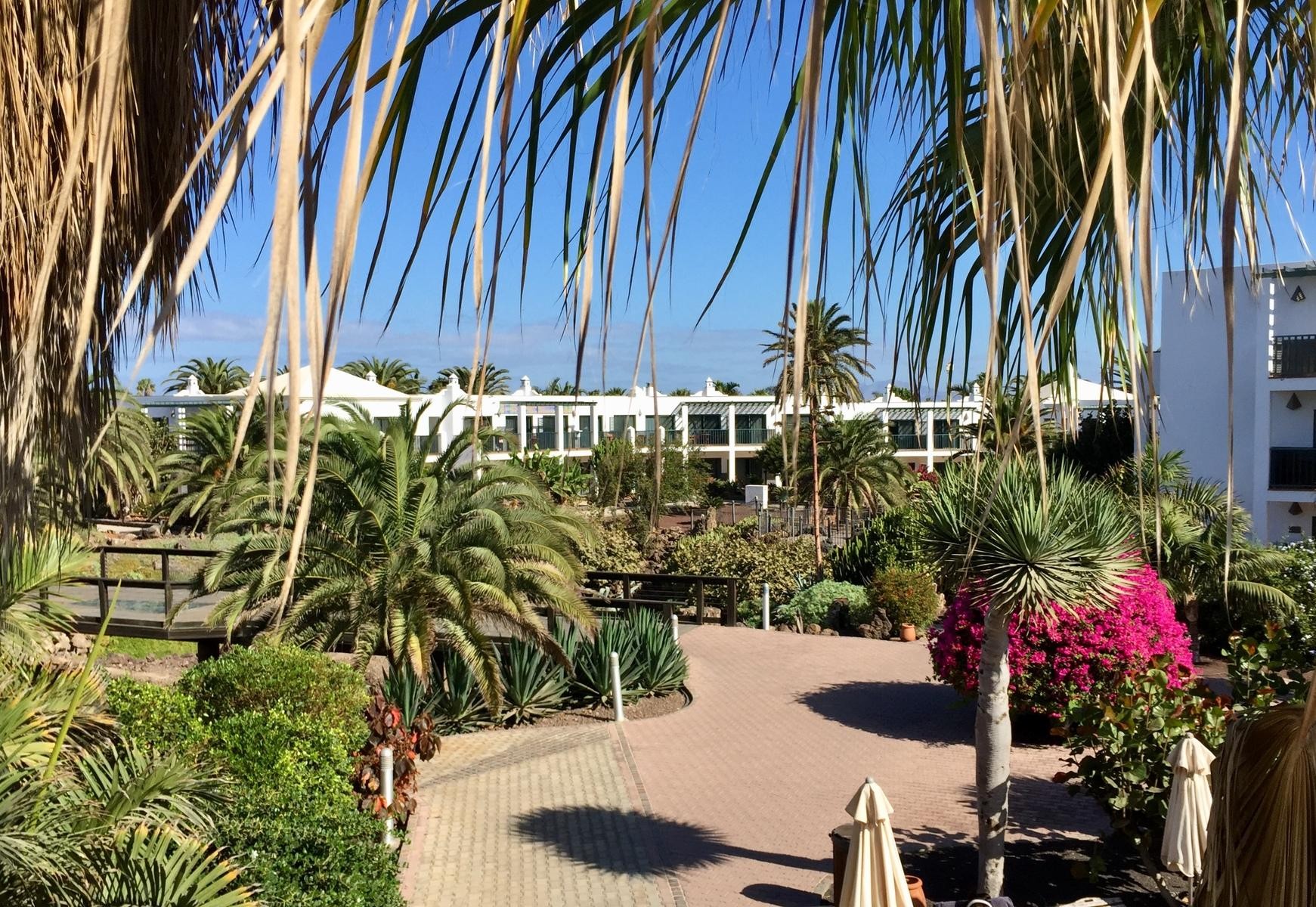 Las Marismas de Corralejo 18