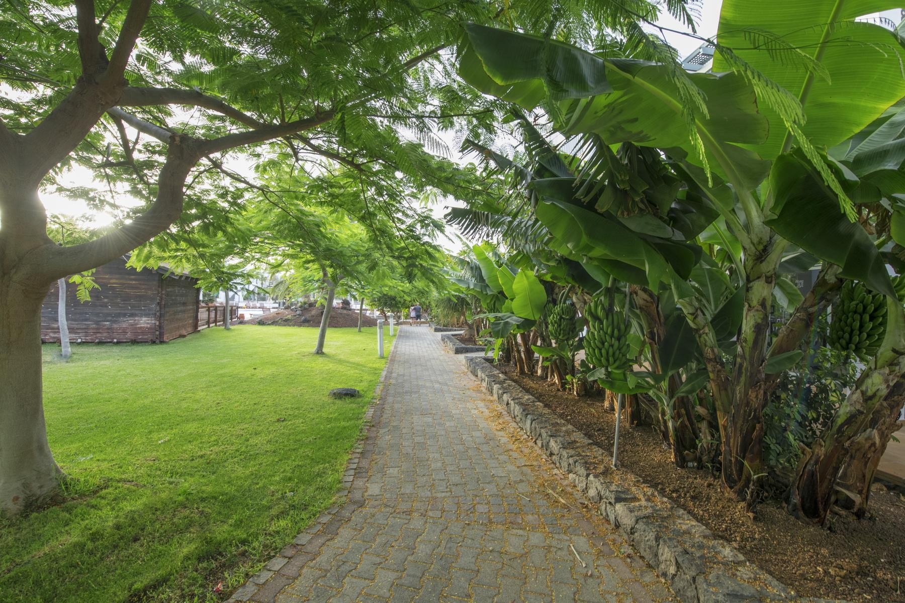 Las Marismas de Corralejo 23