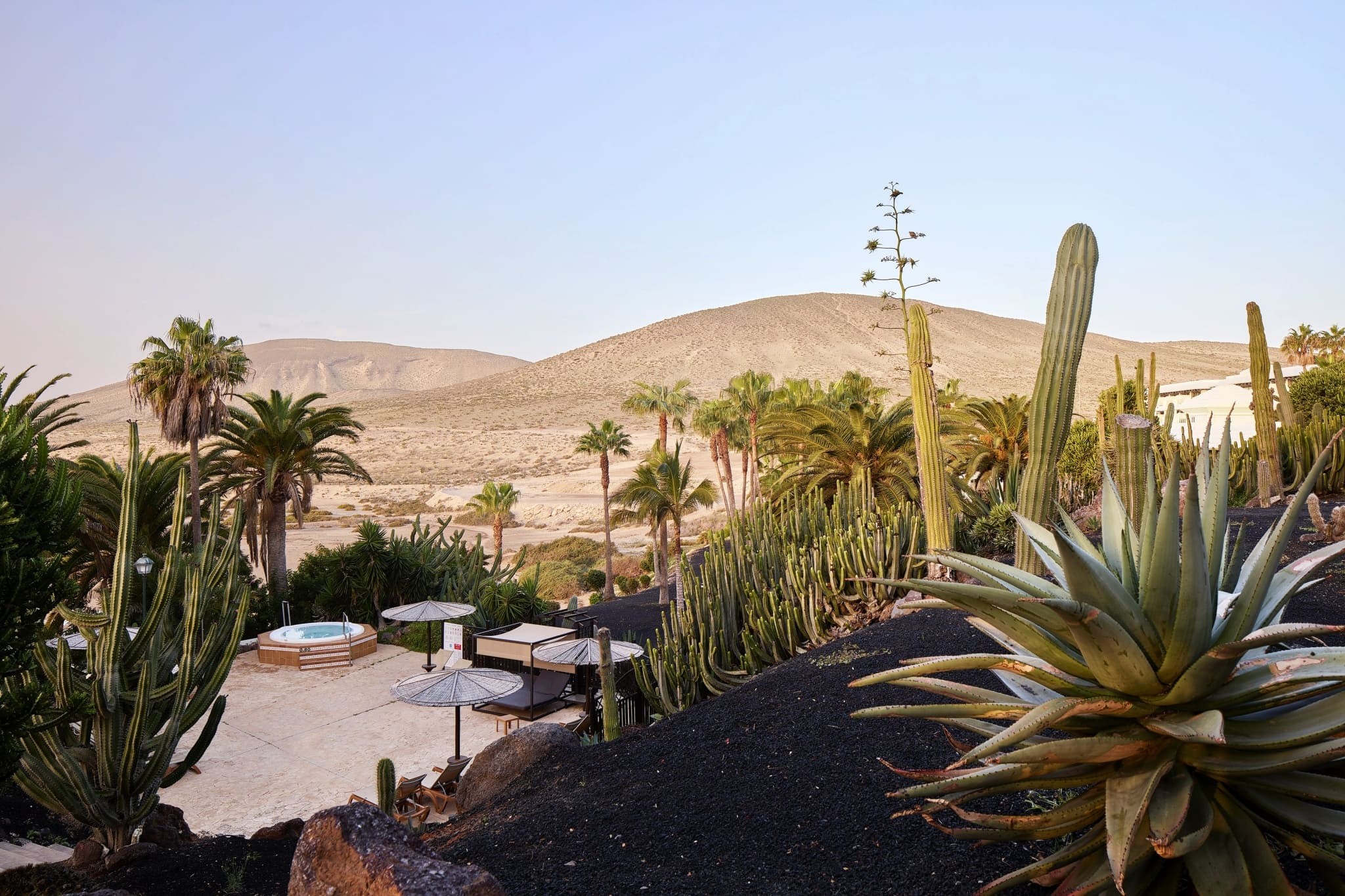 Paradisus By Melia Fuerteventura  26