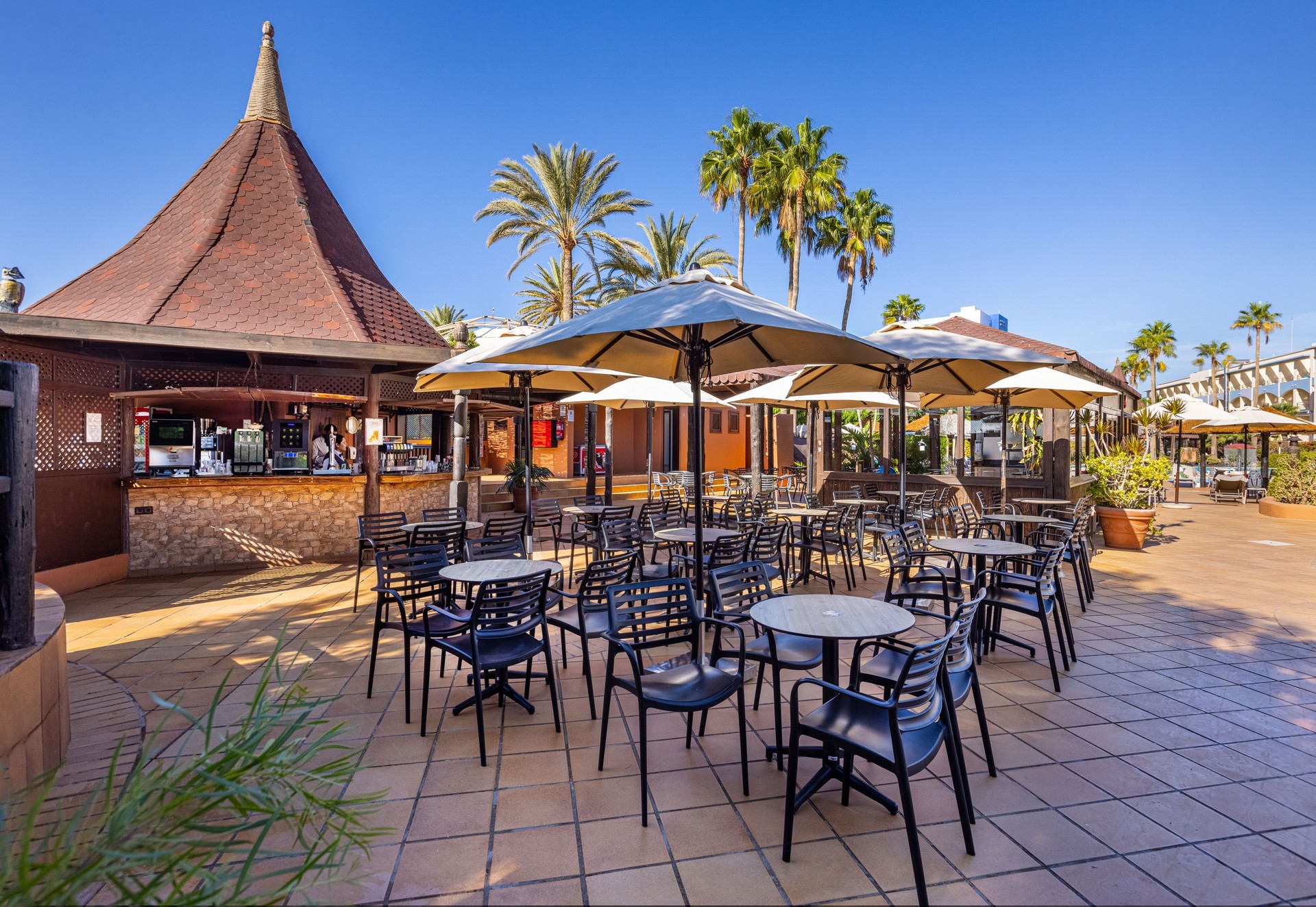 IFA Altamarena by Lopesan 10