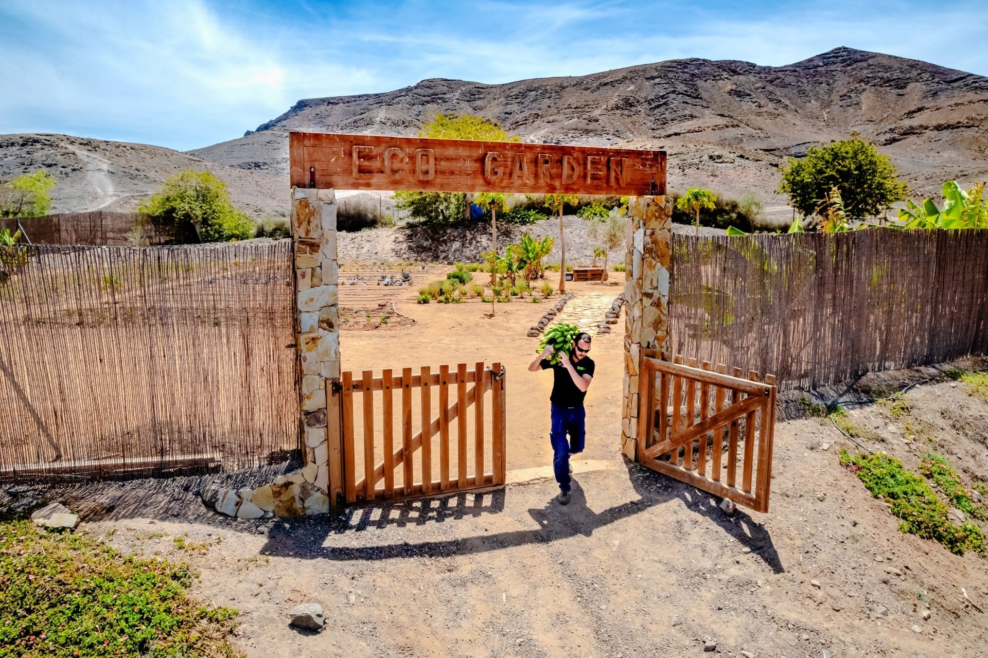 Playitas Aparthotel 32