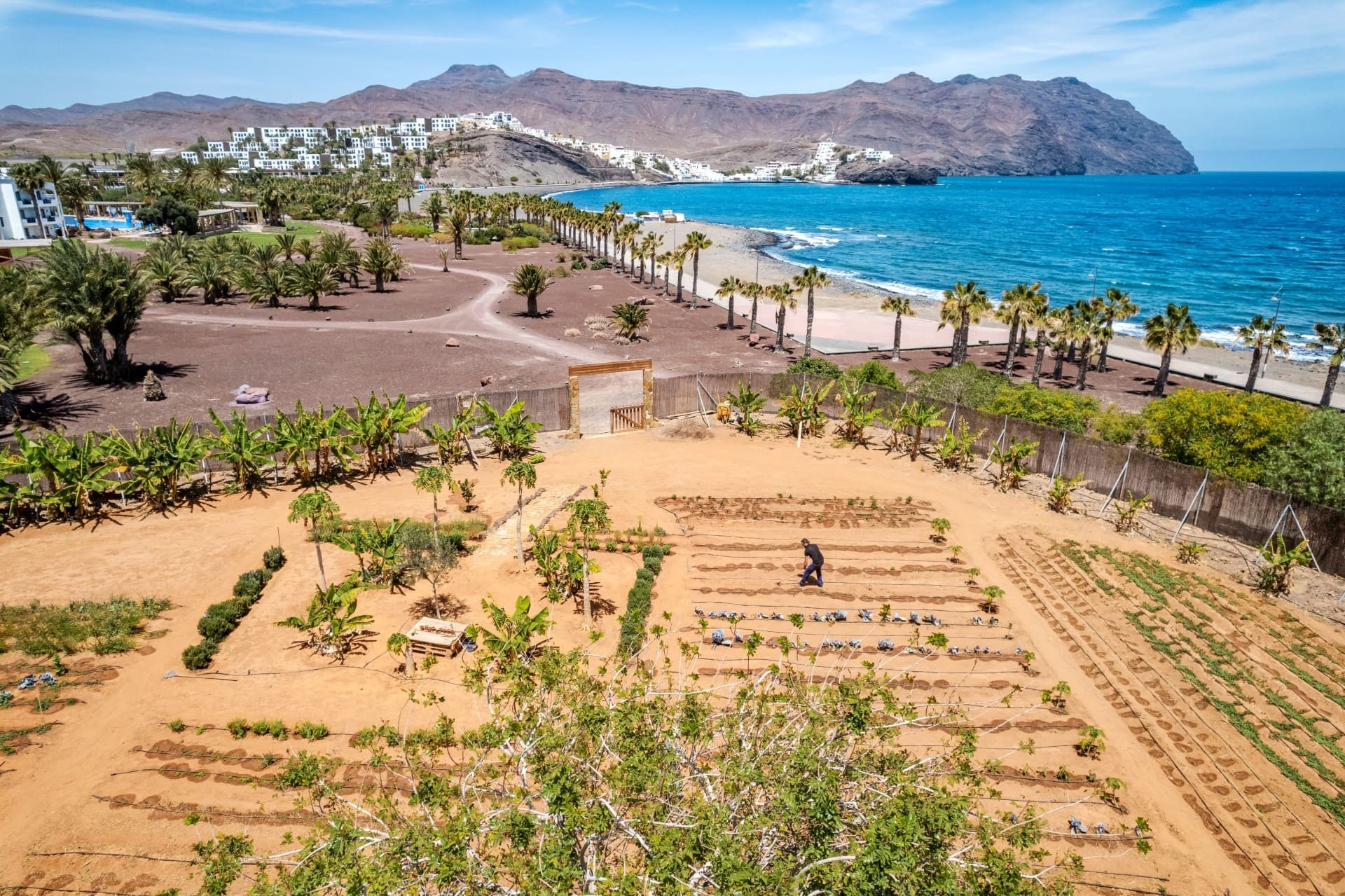 Playitas Aparthotel 31