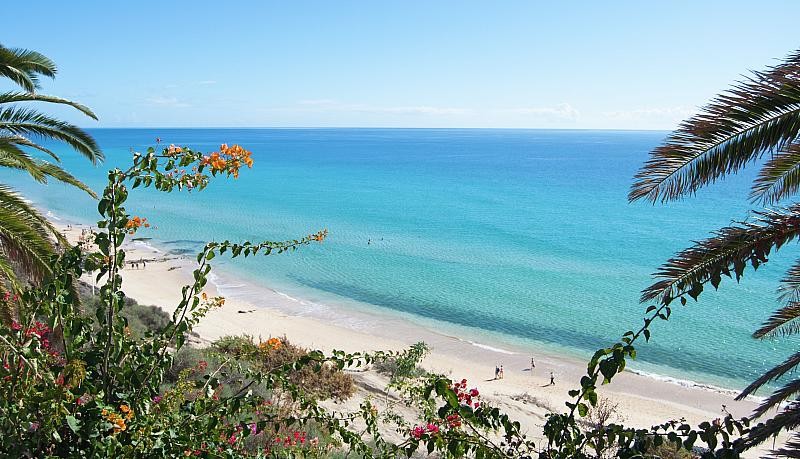 SBH Club Paraiso Playa 5