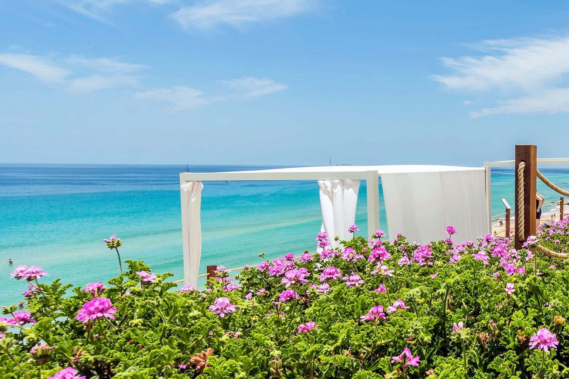 Royal Palm Resort & Spa 23