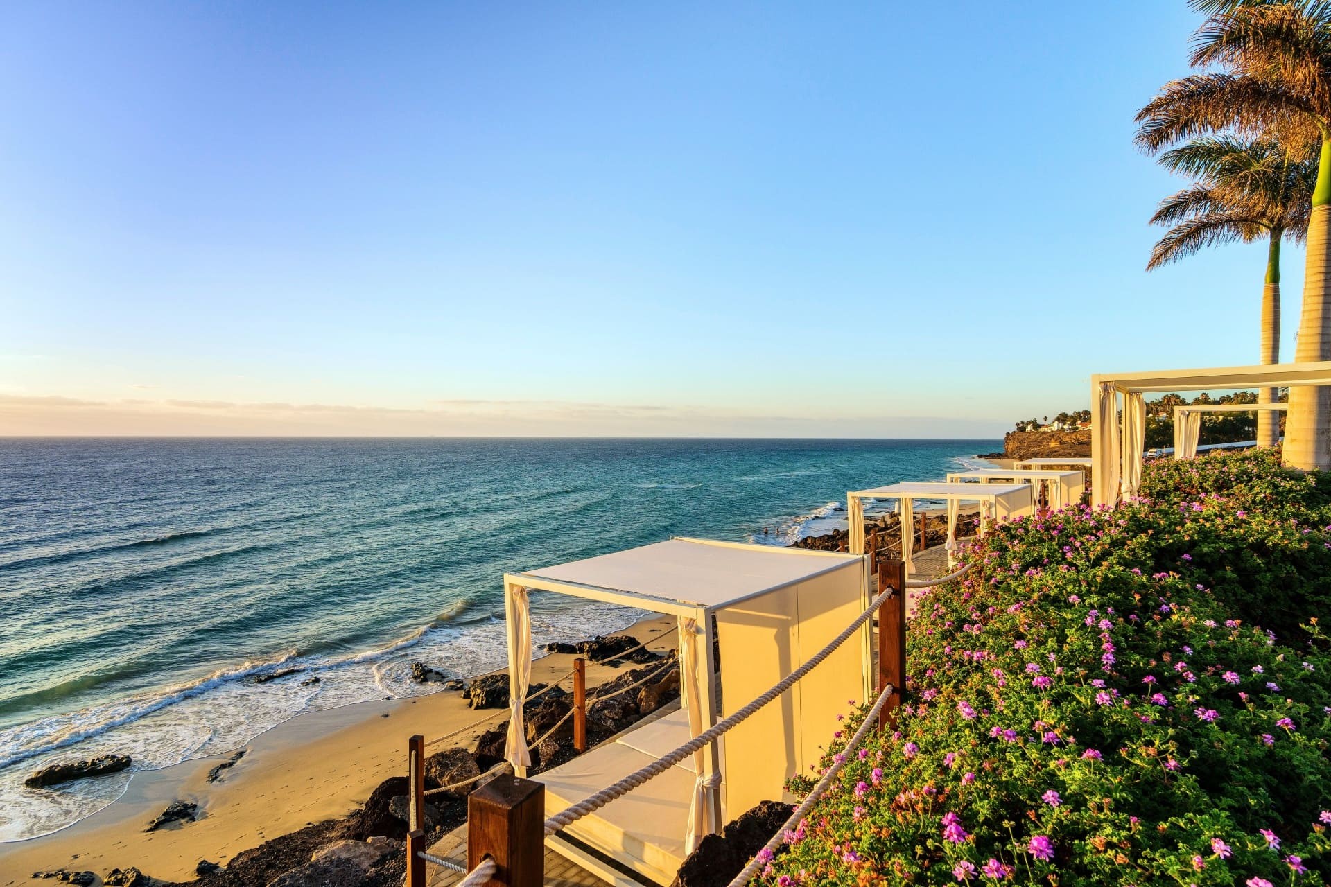 Royal Palm Resort & Spa