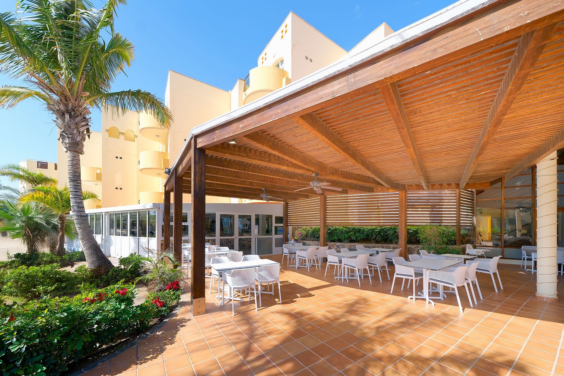 Monte Feliz powered by Playitas 25