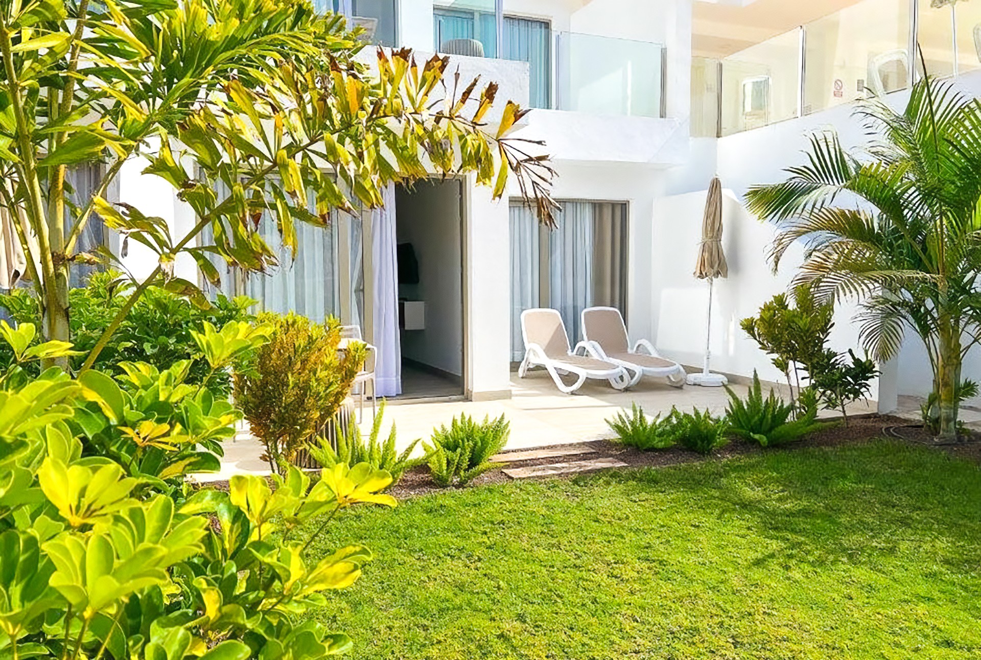 Cordial Magec Taurito 16