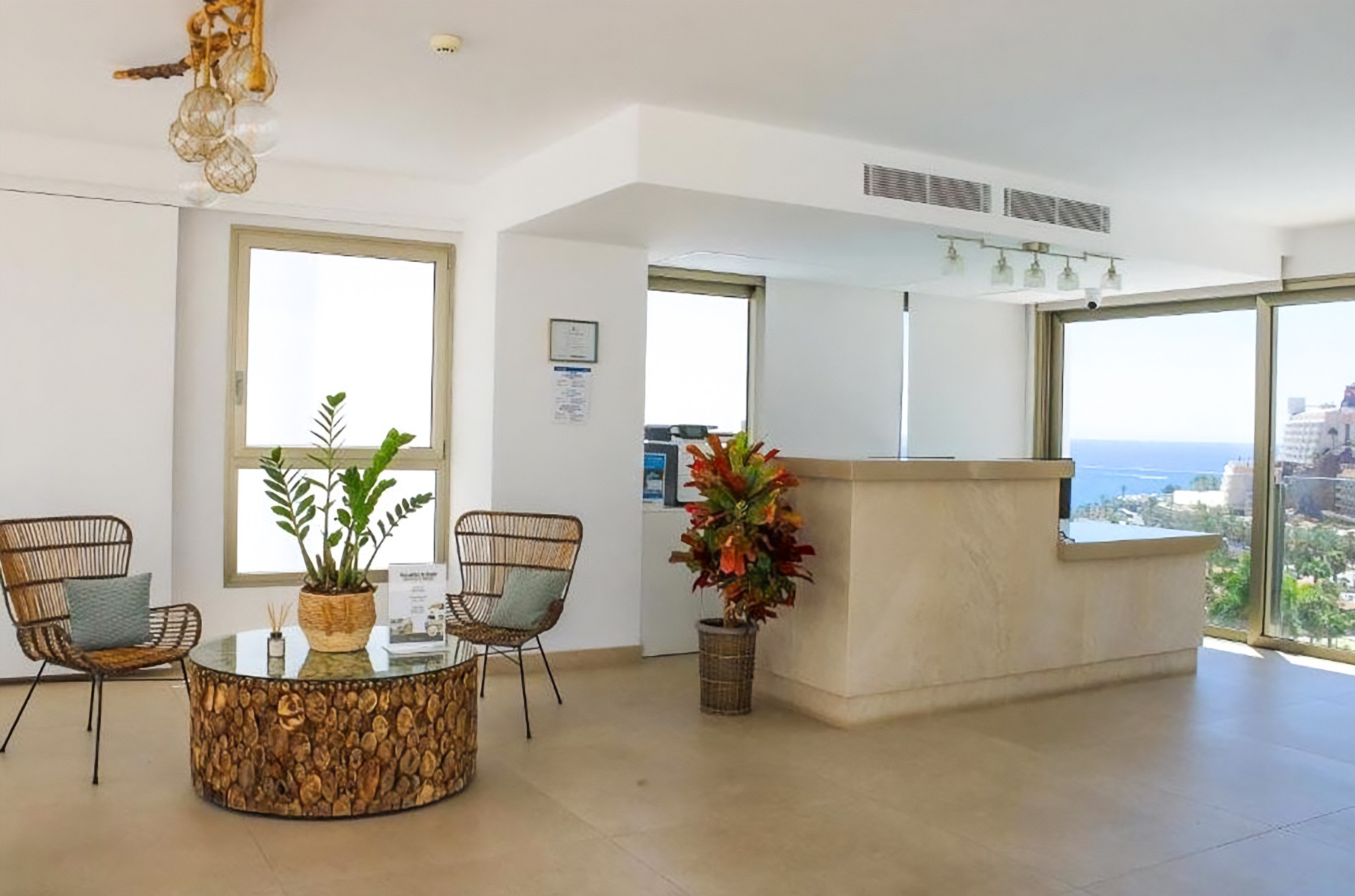 Cordial Magec Taurito 13