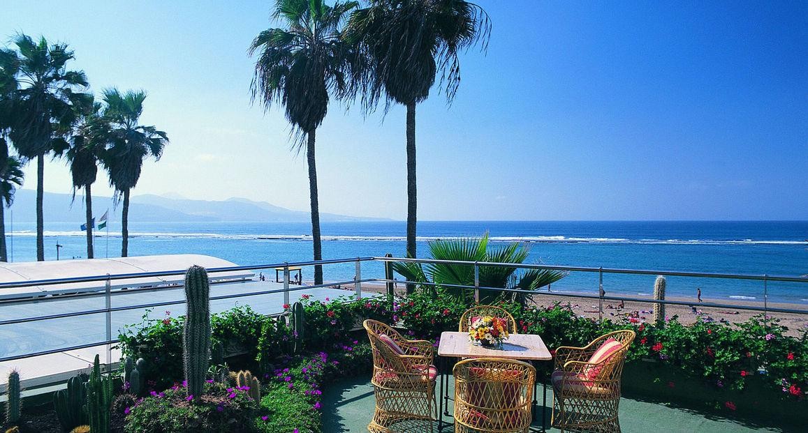 Bull Reina Isabel 13