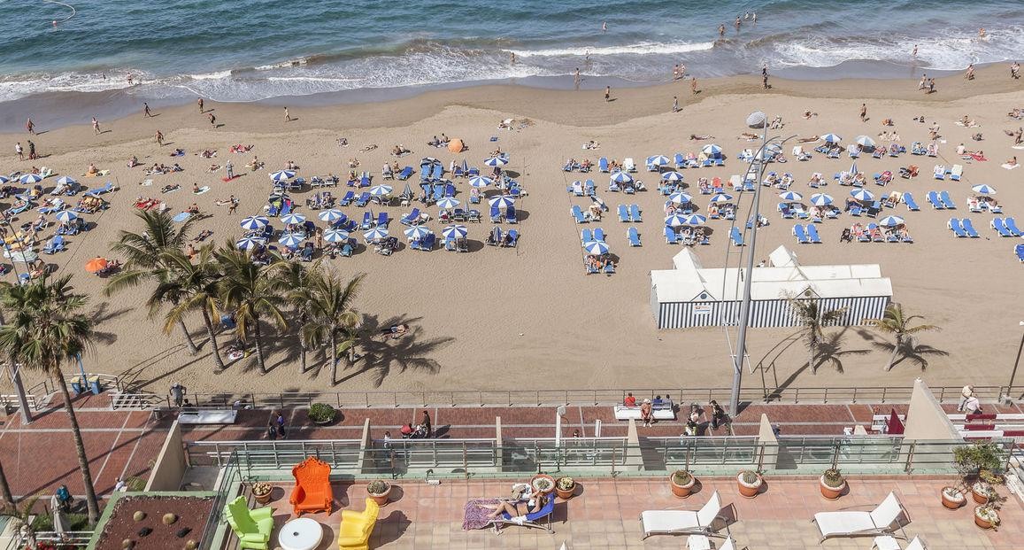 Bull Reina Isabel 15