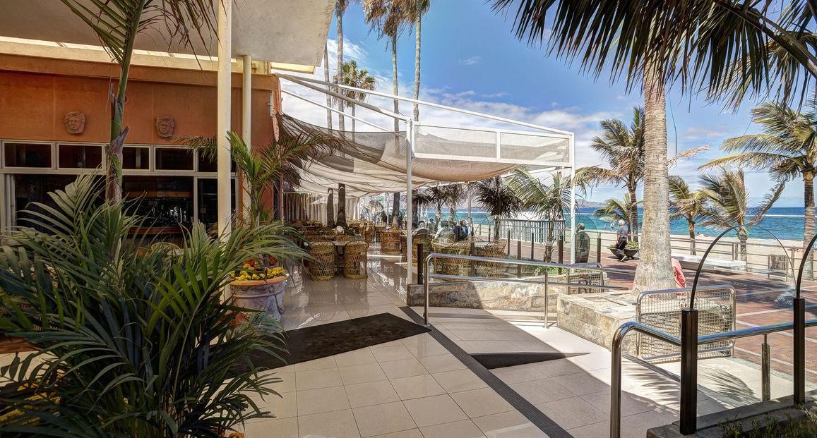 Bull Reina Isabel 14