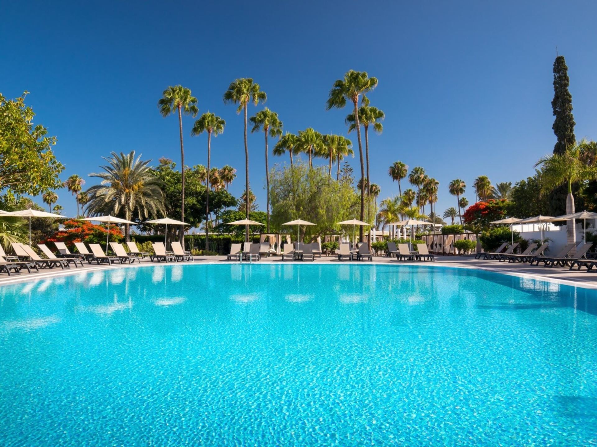 Barcelo Margaritas Royal Level