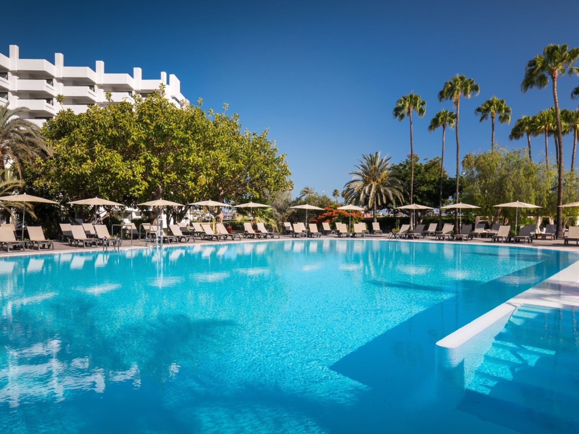 Barcelo Margaritas Royal Level