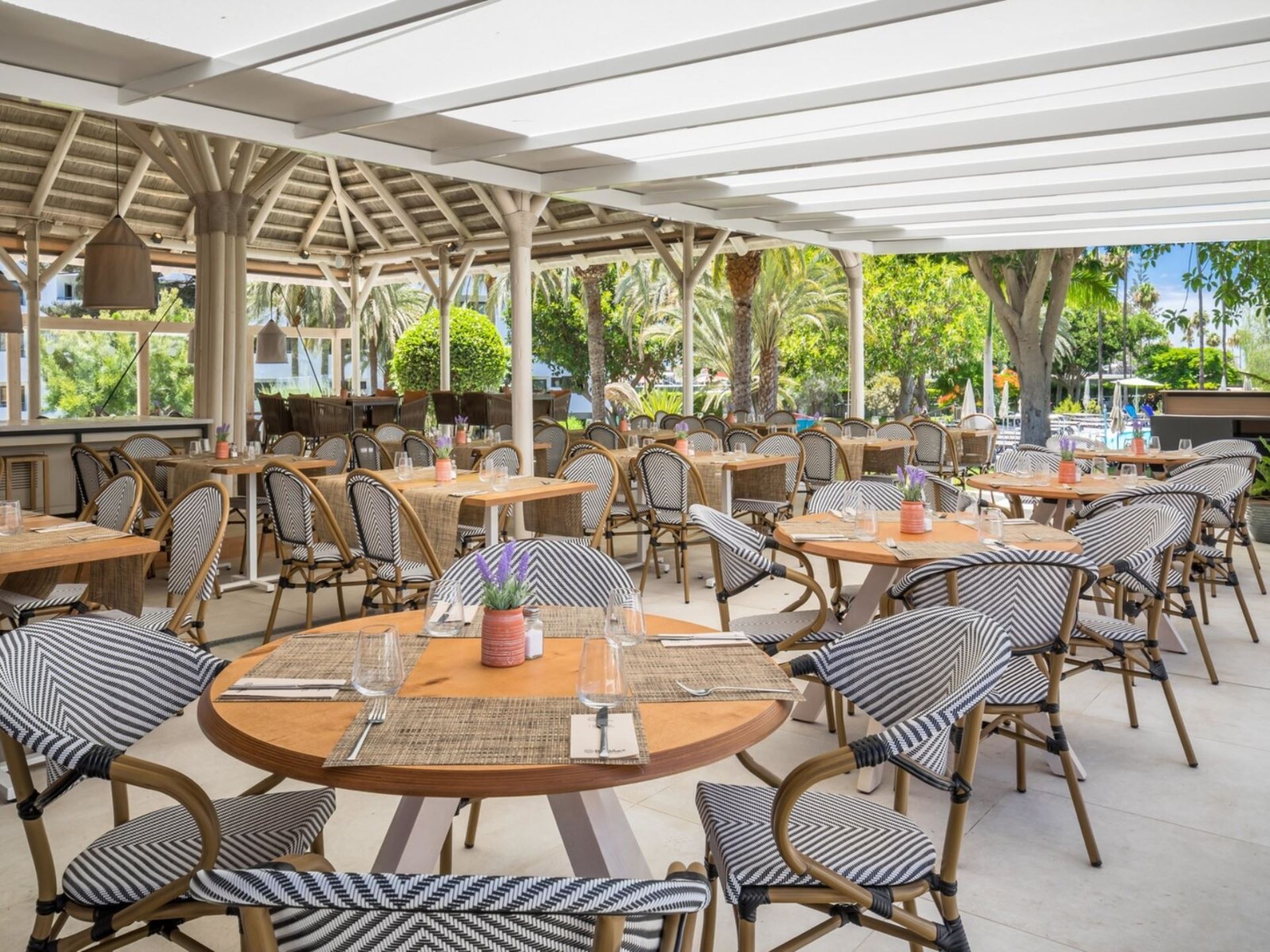 Barcelo Margaritas Royal Level