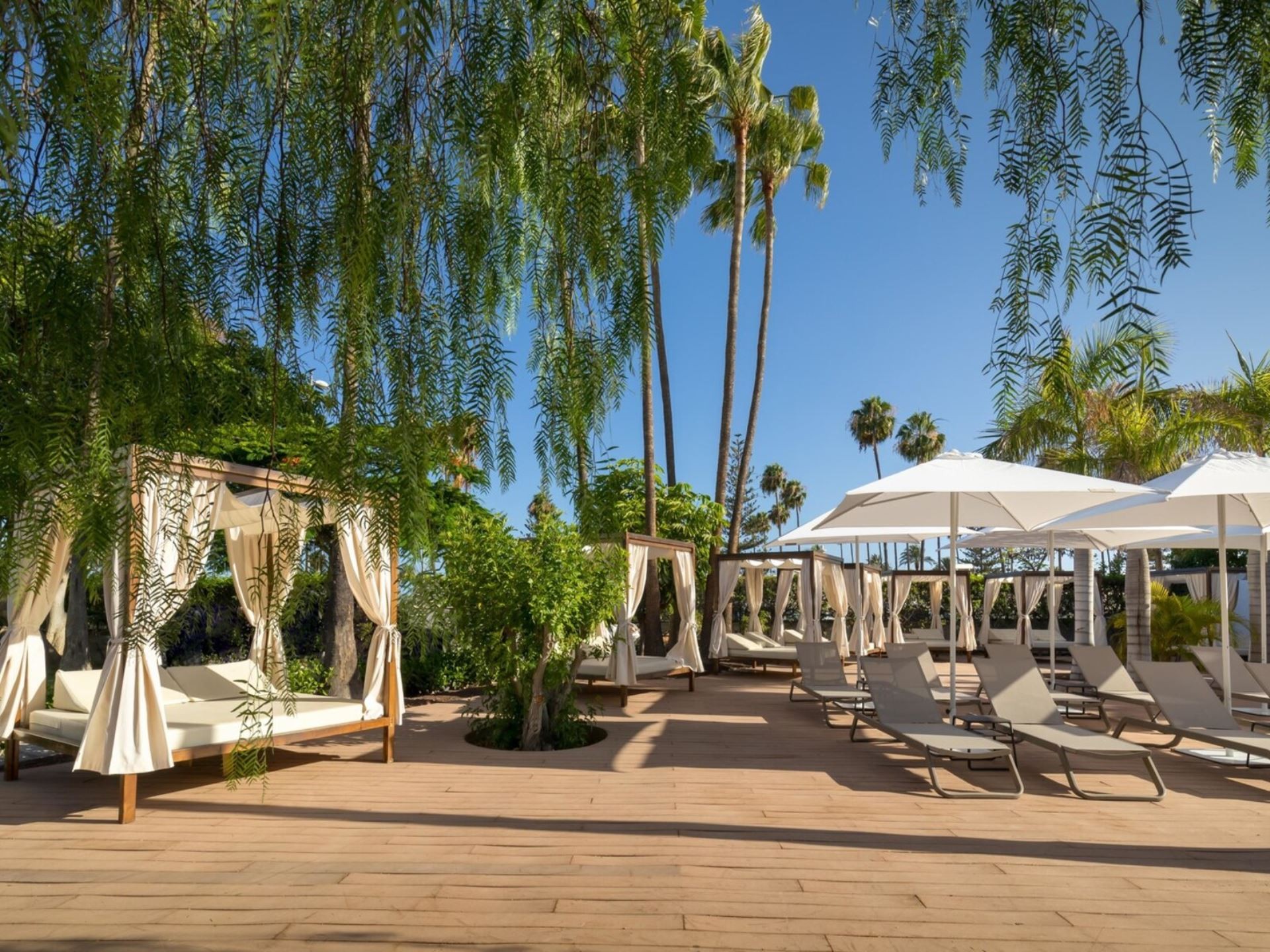 Barcelo Margaritas Royal Level 6