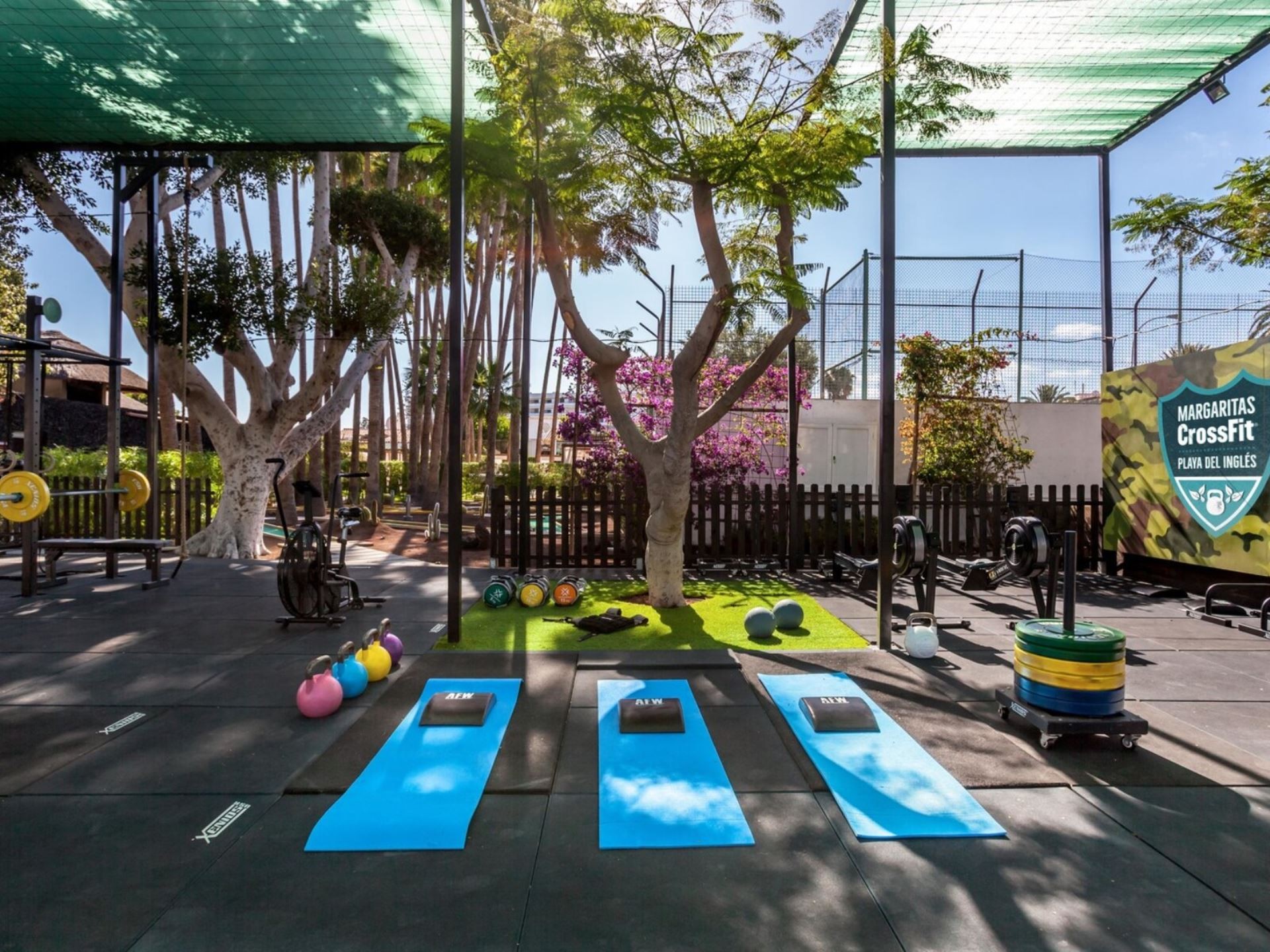 Barcelo Margaritas Royal Level 8