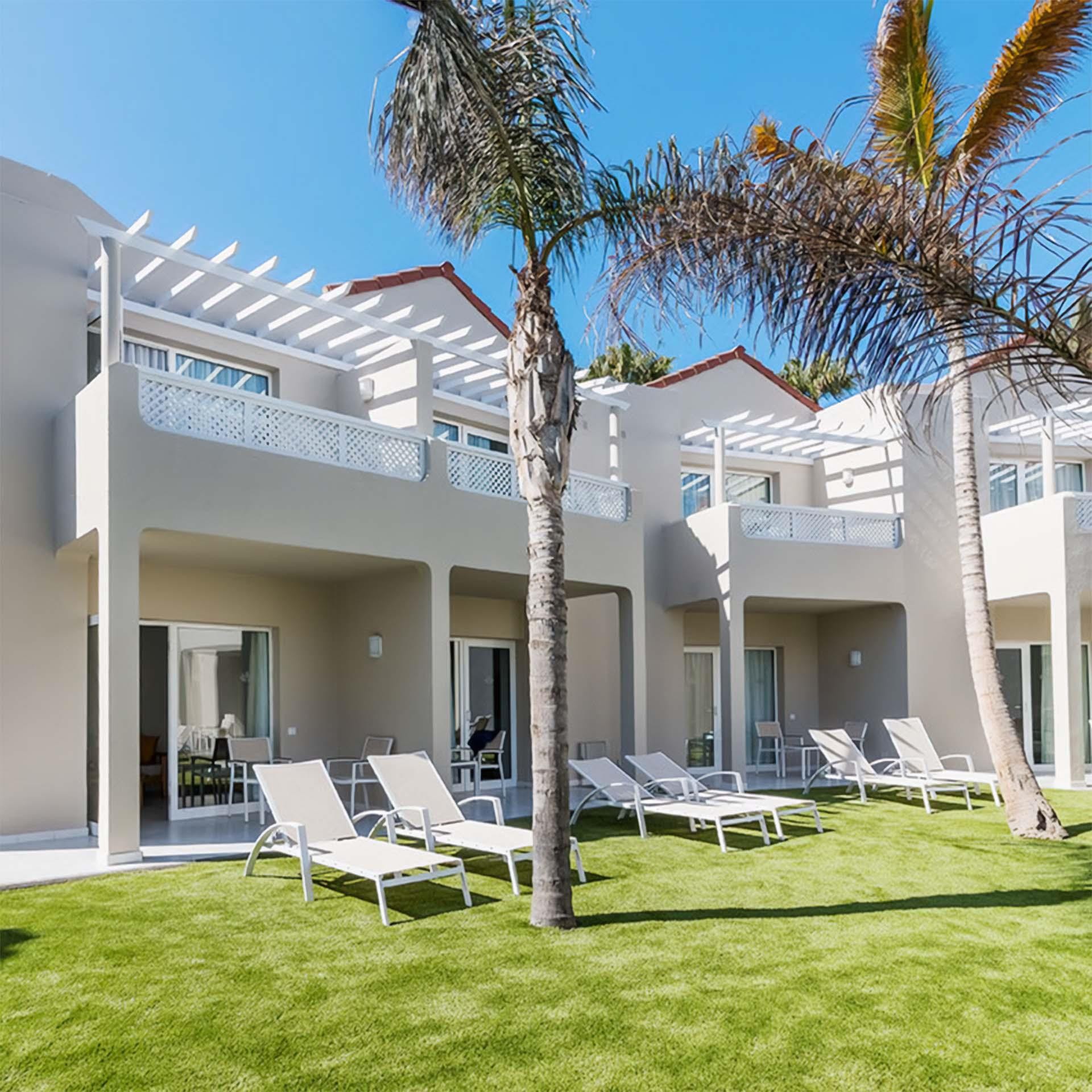 LIVVO Koala Garden 5