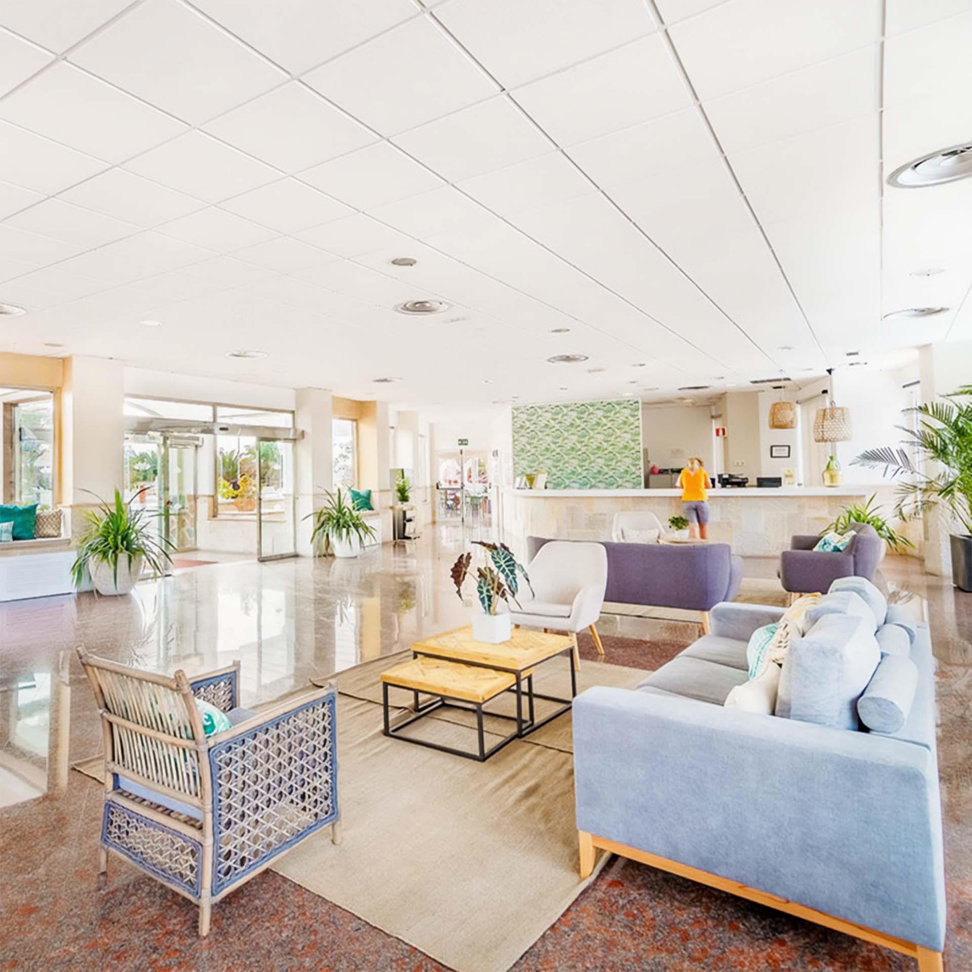 LIVVO Koala Garden 10