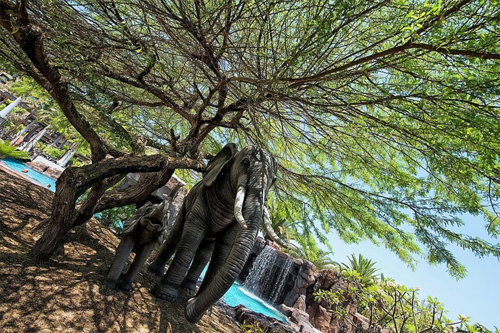 Lopesan Baobab Resort 18