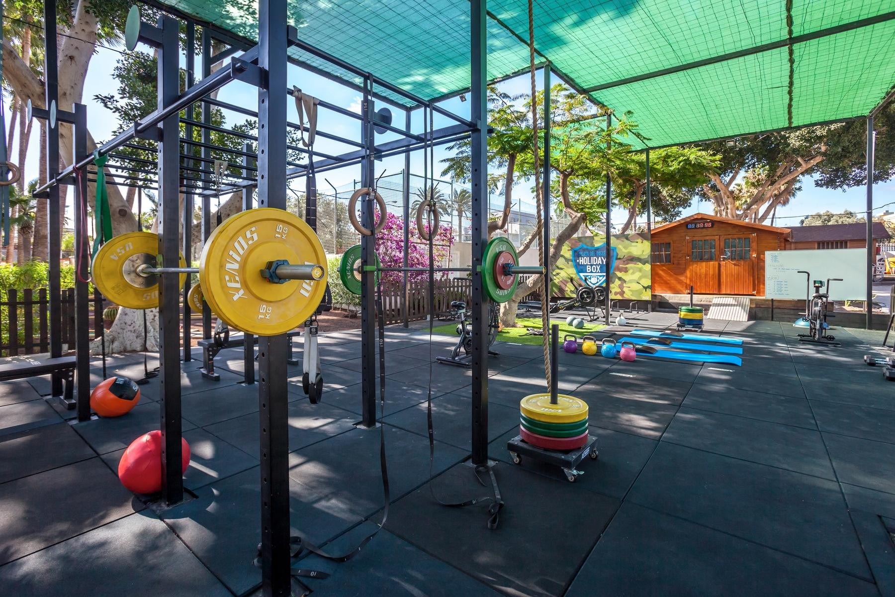 Barcelo Margaritas 12