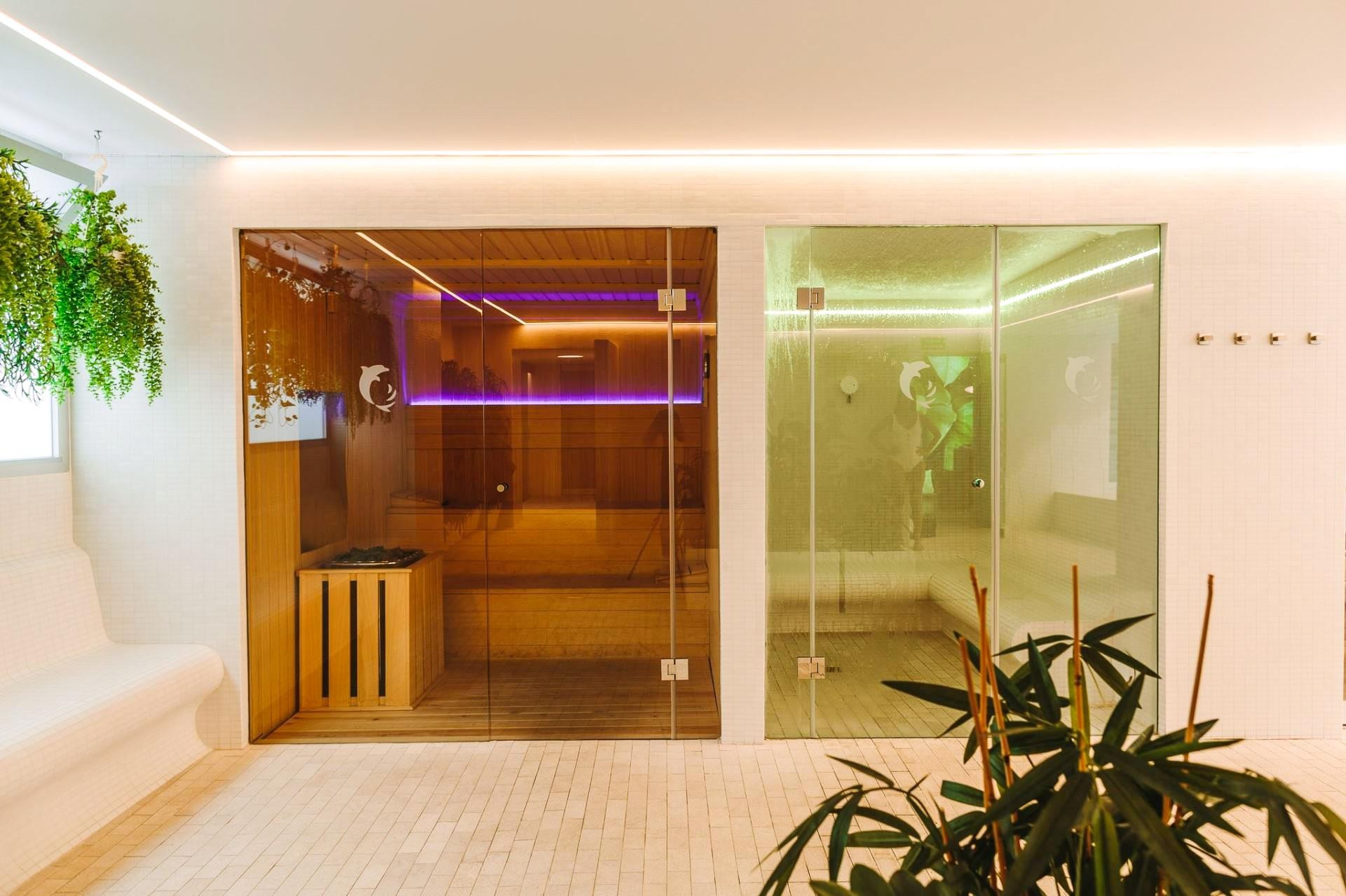 Don Gregory by Dunas 8